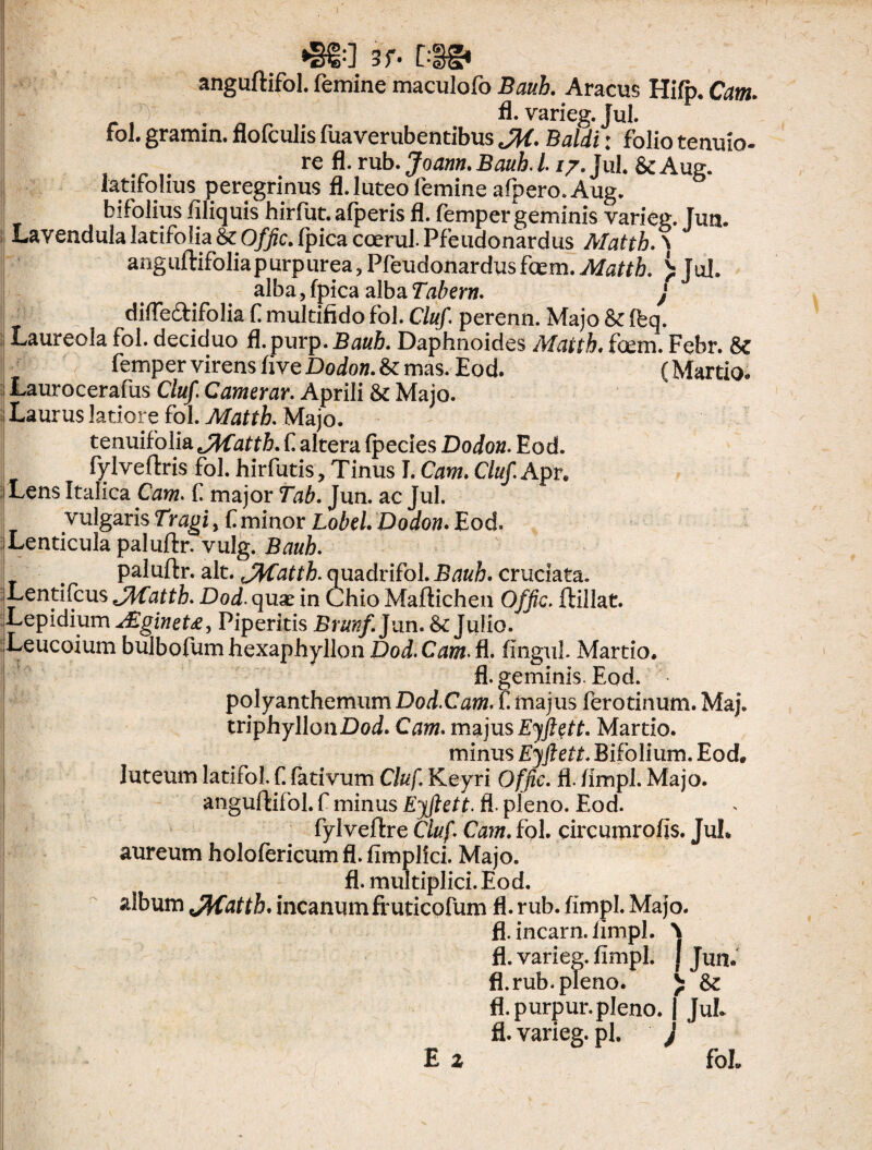 *SS:] 3f« [:§-§« anguftifol. femine maculofo Bauh. Aracus Hifp. Cam. fl. varieg. Jul. foi. gramin. flofculis fuaverubentibus JH- Baldi: folio tenuio- re fl. rub. Joann. Bauh. i /7. Jul. & Aug. latifolius peregrinus fl. luteo femine afpero. Aug. hifolius filiquis hirfut. afperis fl. femper geminis varieg. Ium Lavendula latifolia &Q/^c.fpicacoerul.Pfeudonardus Matth. \ anguftifoliap urpurea, Pfeudonardus fcem. Matth. > Jul. alba, fpica alba Tabem. j diffe&ifolia f multifido fol. Cluf. perenn. Majo &c Ibq. Laureola fol. deciduo ft.purp. Bauh. Daphnoides Matth. fcem. Febr. 6c femper virens five Dodon. &: mas. Eod. (Martio- Laurocerafus Cluf. Camerar. Aprili & Majo, i Laurus latiore fol. Matth. Majo. tenuifolia Jdfatth. f altera fpecies Dodon. Eod. fylveftris fol. hir futis, Tinus I. Cam. Cluf Apr. Lens Italica Cam. f major Tab. Jun. ac Jul. vulgaris Tragi, fi minor Lobel. Dodon. Eod. i Lenticula paluftr. vulg. Bauh. paluftr. ait. Jtfattb. quadrifol. Bauh. cruciata. Lentifcus J/Katth. Dod. quse in Chio Maftichen Offic. ftiilat. Lepidium JZgineU, Piperitis Brunf. Jun. & Julio. Leucoium bulbofum hexaphyllon Dod. Cam. fl. fingul Martio. fl. geminis. Eod. polyanthemum Dod.Cam. f majus ferotinum. Maj. triphyllonDoi. Cam. majus Eyftqtt. Martio. minus Ejftett. Bifolium. Eod. luteum latifol f. fativum Cluf. Keyri Offic. fl. fimpl. Majo, anguftifol. f minus Eyfiett. fl. pleno. Eod. fylveftre Cluf. Cam. fol. circumrofis. JuL aureum holofericumfl.fimplici. Majo. fl. multiplici. Eod. album JfyCatth* incanum fruticofum fl. rub. fimpl. Majo. fl. incarn. fimpl. ^ fl. varieg. fimpl. j Jun. fl.rub. pleno. £ & fl.purpur. pleno. | JuL fl.varieg.pl. J E z foL