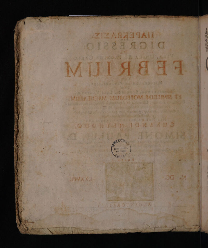 à RYE SDN P Aen hu iioc P A EN case ia Saa 7 pr m *. | , . - i A  i us d  B uu  iw ^ y «w9 e 9 gum pto j