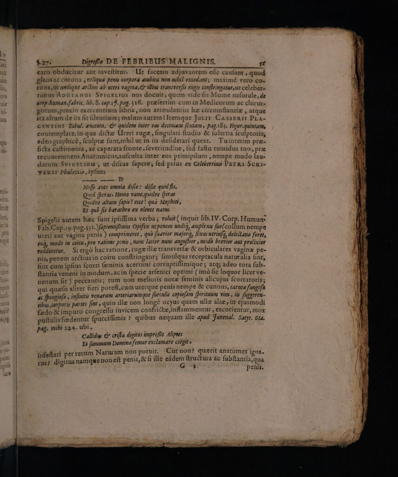 MEE E Fais aas cine EA. caro obducitur aut inveftitur. ^ Ut faceam adjuvautem elle caufam , quod glausac corona , reliqua penis corpora ambitu non nibil excedant; maxime vero co- róua, ur undique ardlius ab uteri vagina, C illius transverfis rugis conflringaturut celeber- rimus Apn1ANus SprcELIUs nos docuit, quem vide fis Mome nafutule, de eorp.buman.fabric, lib. 8. cap.13. pag. 318. praefertim cumin Medicorum ac chirur- gorum;praxin exercentium libris , non attendantur hz circum(tantiz , atque ita altum de iis fit filentium ; malumautem! Itemque Jurrr CAsszEni1: Pra- CENTINI Tabul. anatom, (Cr. quidem inter eas decimam (éxtams, pag A83. Figur.quintam, contemplare, in qua dica Uteri rugz , fingulari ftudio &amp; folertia fculptoris; adeo graphice , fculptz funtnihil ut in iis defiderari queat. — Tu interim pra- fi&amp;a caftimonia , ac caperata fronte, feveritudine, fed faftu tumidus tuo, pra teconcemnens Anatomicos,au(culta inter eos primipilum nempe modo lau- datum SercsriuM , ut:difcas fapere, fed prius ex Celeberraui PE R1 Scni- v&amp;R1LU Pbaleicio ipfum rais i RU Noffe ante omnia difce:: difte quid fis, Quid [peras» Homo vane,quidve [piras Quidve altum fapis? ese! qua. Mephiti, Et quà fis baratbro ex olente natus. Spigelii autem hac funt ipfiffima verba ; voluit ( inquit lib.IV. Corp. Humun* Fab.Cap.19.pag.332-)fapientifmus Opifex st penein undia, awplexu fit (collum nempe uteri aut vagina penis ) comprimeret » quo [aavior majora, fexus utritf, deleclatio foret, eoá, modo in coitu, pro ratione penis , nunc latior, nunc angu[Hor , modo brevior aut prolixior redderetur, | Si ergó hac ratione, ruga ille transverfz-&amp; orbiculares vagina pe- nis, penem arctiusin coitu conftringant; fimulque receptacula naturalia fint, fint cum ipfius (corti feminis acerrimi cortuptiflimique ; atq; adeo tota fub. ftantia veneni in modum acin fpecie arfenici optimi ( imó fic loquor licet ve- nenum fit ) peccantis; tum non melioris note feminis alicujus fcortatoris; qui quao alitet fieri poteft,cum uterque penis nempe &amp; cunnus, care fungofa 4c [pongio(e , infinitis venarum arteriarumque farculis copiofam fpirituum yin , is fuggeren- gibus corporis partes fint , quin ille non Pers ocyus quam ullz aliz; in ejusmodi fzdo &amp; imputo congreffu invicem con ridz,inflammentur, excorientur, mox puftulis feedentur (purciffimis ? quibus nequam ille apud Juvenal. Satyr. Gta. pag. mibi 22,4. ubi, $5 Callidu €» crifle digitos imprefft Aliptes Ei (ummum Domine femur exclamare coegit » infeftari per rerum Naturam non potuit. e ied esl xU. igna. rus? digitus namquenon eft penis, &amp; fi ille eàádem ftructura ac fubftantia, qua G a penis.