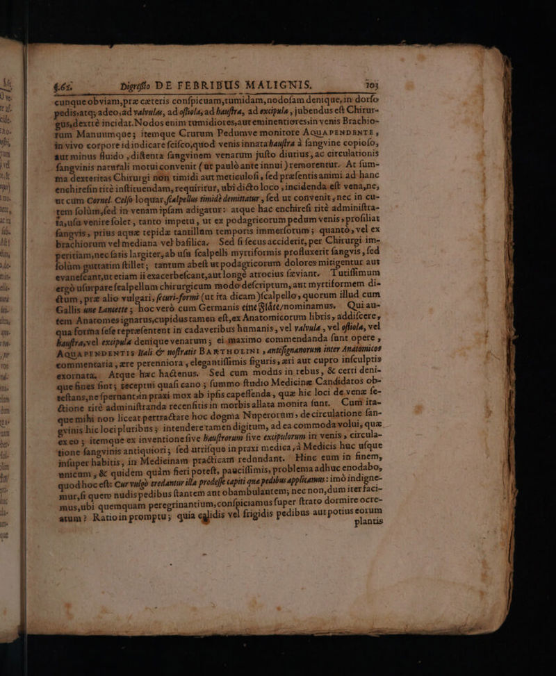 — diese cunque obviam,pra ceteris confpicuam,tumidam,nodofam denique,in dorfo pedissatqsadeo;ad valvulas, ad ofliolayad bauffra, ad excipula , jubendus eft Chirur- eus,dextré incidat.Nodos enim tumidiores,aut eminentieres;in venis Brachio- fum Manuumqüe; itemque Crurum Pedumve monitore AauAPENDBNTE , in vivo corpore id indicare fcifco,quod venis innatasauffra à fangvine copiofo, aut minus fluido , difenta fangvinem venarum jufto diutius, ac circulationis fangvinis naturali motui convenit ( üt paulà ante innui )remorentur. Ac fum- tna dexteritas Chirurgi non timidi aut meticulofi, fed prafentisamimi ad hanc enchirefin tite inftituendam, requiritur, ubi dicto loco ,incidenda eft vena,ne; ut cum Cornel. Celfo loquar, fcalpellus timide demittatur , Ícd ut convenit ,nec in cu- tem folüm,fed in venam ipfam adigatur: atque hac enchirefi rité adminiftra- fa,ufa venirefolet , tanto impetu, ut ex podagricorum pedum venis » profiliat fangvis , prias aque tepida tantillam temporis immerforum; quantó vel ex brachiorum vel mediana vel bafilica, Sed fi fecusacciderit, per Chirurgi im- peritíam,nec fatis largiter,ab ufu ícalpelli myrtiformis profluxerit fangvis , fed folüm guttatim ftillet; tantum abeft ut podagricorum dolores mitigentur aut minia. etiam ii exacetbefcant,aut longé atrocius (zviant. Tutiffimum ergó ufurpare (calpellum chirurgicum modo deícriptum, aut myrtiformem di- &amp;um , prz alio vulgari, fecuri-formr (ut ita dicam )fcalpello, quorum illud cum Gallis «ne Lantette ; hoc veró cum Germanis eíneSláte/nominamus. Qui au- tem Anatomes ignarus,cupidustamen eft,ex Anatomicorum libris addiícere, qua fotrna (efe reprafentent iti cadaveribus humanis, vel valvula , vel offiola, vel bauffrayvel excpula denique venarum 5. ei maximo commendanda funt opere , Aqua prxDENTIS Itali &amp; noffratis DAR THOLIN!; antcfionamorum inter Anatomicos commentaria ,zre perenniora , elegantiffimis figuris, eri aut cupro infculptis exornata, Atque hac ha&amp;enus. Sed cum modis in rebus, &amp; certi deni- que fines fint; seceptui quafi cano ; fummo ftudio Medicine Candidatos ob- teftans,nefpernantsin praxi mox ab ipfis capeffenda , quz hic loci de venz fe- &amp;ione rité adminiftranda recenfitis in morbis allata monita fant, Cum ita- que mihi non liceat pertractare hoc dogma Nuperoram, decirculatione fan- vinis hic loei pluribus 5 intenderetamen digitum, ad ea commoda volui, qux €x eo; itemque ex inventione five bauffrorum five exapulorum in venis ; circula- tione fangvinis antiquiori ; fed utriíque in praxi medica ,à Medicis huc ufque infuper habitis, in Medicinam practicam redandant. Hine eum in finem, unicum , &amp; quidem quàm fieri poteft, paucillimis; problema adhuc enodabo, quodhoc eft: Cur vuelo &amp;redantur illa prodeffe capiti qua pedibus applicamms : imó indi gne- mur,ft quem nudispedibus ftantem aut obambulantem; nec nondum iter faci- mus,ubi quemquam peregrinantium,confpiciamus fuper ftrato dormire ocre- amm? Ratioin promptu; quia eglidis vel frigidis pedibus aut potius ioca P antis