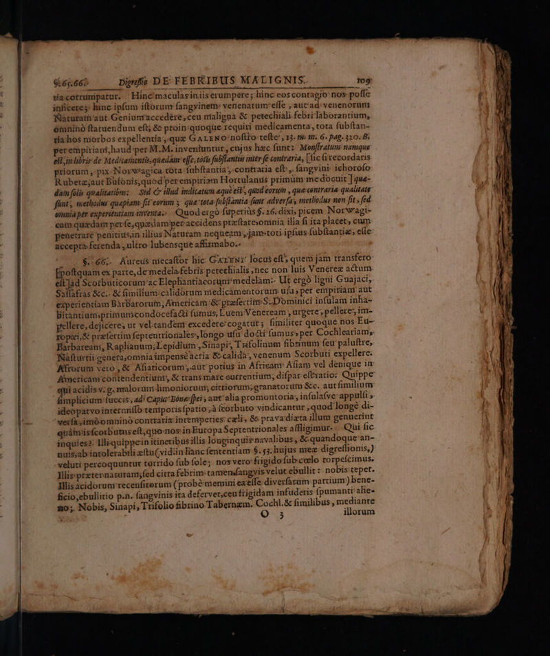 ees» Dügnfa DE FEBKIEUS MÁALIGNIS. 709 tiacorrunipatur. Hinc'maculasiniiserumpete ; hinc eos contagio nos- poffc iüficere$: hinc ipfum iftorum fangvinem: verienatum:effe , auc ad:venenorum Waturatü'aüt.Geniunraccedere,ceu maligna &amp; petechiali febri laborantium, oinninó ftatuendum eft; &amp; ptoin:quoqüe requiri medicamenta, tota fubftan- tia hos niorbos expellentia,.quz G ALENO'noflto teíte' , 13. 78: tin 6. pag. 320. B. perempiriani,haud:per M.M. inventuntut , cujus hac funt:^ Monf[ratum: namque eti im librir de Medicathentis. quedam effe, tótia fabflantiis inter fé contraria, | c (i vecosdaris priorum , pix. Norw'agica tota: fubftantia contraria eft, fangvini: ichorofo R ubetz;aut Bufonis,quod perempiriam Hortulanus primüt me docuit ] qua- fint, methodus quapiam. fit eorum 5 qua tota febflantia fuit: adverfas metbodus nen fit , fed oinnià per experitntiam itventa. Quod ergo fup eris $. 26. dixi; picem Norwagi- cain quxdam perfe,quadam peraccidens preftareomnia illa.fi ita placet; cum accepta ferenda , ultro-lubensque affirmabo.^ |. $66; Aureus miecaftor hic. GXrENI' locus eft quem jam transfero Epoftquam ex parte, de medela febris petechialis ,nec non luis Venérez actum. eft Jàd Scorbuticorunrac Elephantiacorunimedelàm-- Ut ergó ligni Guajaci, Saflafras &amp;c.. &amp; fimilium:calidorum medicamentorur ufa; per empitiant aut experientiam BàrBarorum; Americam:&amp; prafercitm S. Dominici infulam inha- Bitantiutmprimunicondocefadi (utis, Luemi:Veneream , urgere; pellere im- Barbareani, Raplianum; Lepidiutn , Sinapi', Tiufoliaum fibrinum fetr paluftre, Nafturtii geneta;omniaimipense actía &amp;calidà', venenum Scorbuti expellere. Kfrorum vero, &amp; Afiaticorum ,.aut potius in Africam: Afiam vel denique in ideopatvo internriffo teniporisfpatio à fcorbuto vindicantur , quod longe di- veifà ,imbomninó contraria intemperies cali, &amp;c prava'diata illum genuerint uidhnisfcorbutuseft,quo-nos in Buropa Septentrionales affligimur-. Qui fic inquies ?: Illiquippein itineribusillis longinquis-navalibus, &amp; quandoque an- nuis;ab intolerabili eftu( vid.in linncfententiam $. 55. hujus mez digretlioris,) veluti percoquuntur torrido fub (ole; nos vero: frigido fub celo torpeícimus. Hlis'przternacuram;fed citta febrim: tanrendangvis velut ebullit : nobis:tepet. Illisacidorumrrecenfiterum (probé memini eae. diverfaram: partium) bene- ficio,ebullitio p.n. fangvinis ita defervet,ceufiigidam infuderis fpumanti; ahe- £o ;. Nobis, Sinapi, Trifolio &amp;brino Tabernzm. Cochl.&amp; fimilibus, mediante