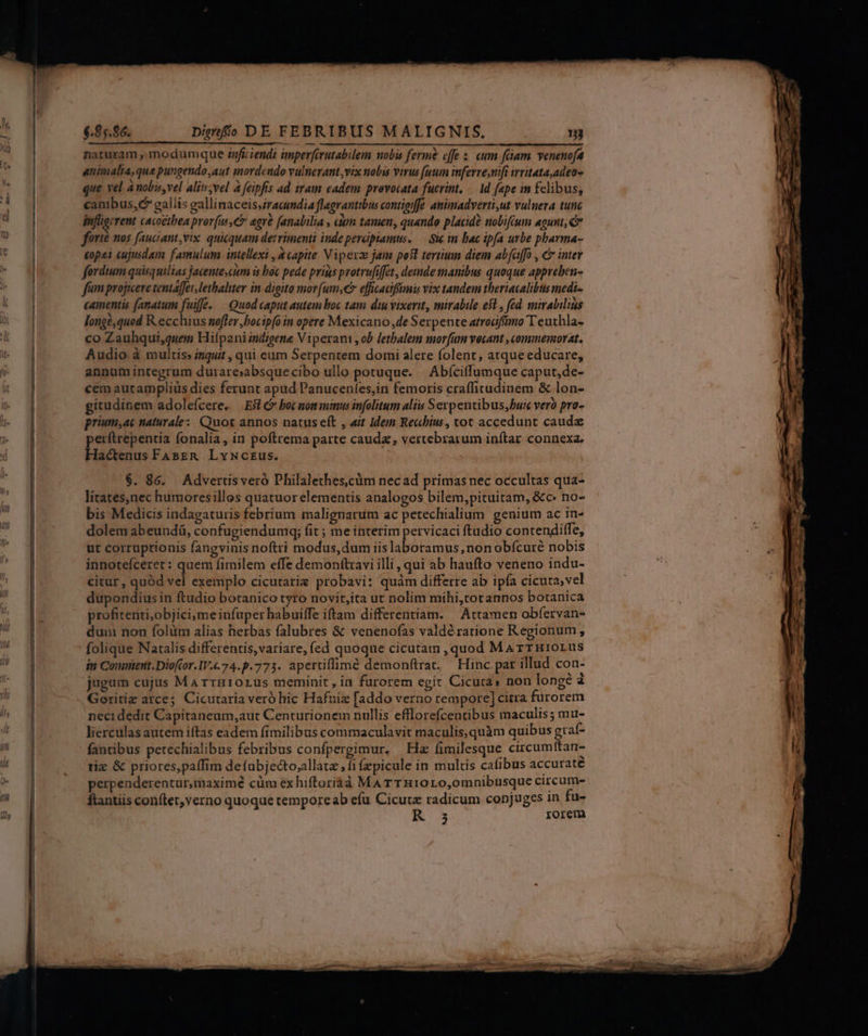 naturam , modumque snficiendi imperfivutabilem nobis ferme cffe : cum fiam venenofa animalia, que pungendo,aut mordendo vulnerant ,vix nobis virus [aum inferreynift irvitata,adeo- que vel ànobis, vel aliu;vel a feipfis ad iram eadem provocata fucrint, — d (ape in fclibus; canibus, galli gallinaceis;racundia flagrantibus contigiffe animadverti,ut vulnera tunc infligcrent cacoctbea prorfus, agre fanalilia , cim tamen, quando placido nobiftum agunt; forié nos fauciant,vix. quicquam detrimenti inde peraptamus. — Sic in bac ipfa urbe pbarma- eopei cujusdam famulum intellexi , a capite Viperz jam pofl terium diem abfaffo , c inter fordium quisquilias jaceme,cim is boc pede prius protrufiffet, demde manibus quoque appreben- fam projicere tentaffet,lethaliter in digito mor ume effiaciffnis vix tandem theriacalibus medi. camentis (amatum fuiffe. — Quod caput autem boc tam diu vixerit, mirabile est, fed mirabilis longé,qued R.ecchius noffer,bocip[o in opere Mexicano ,de Serpente atrodffimo Teuthla- co Zauhqui,quem Hifpani indigene Vipera , ob lethalem morfum vocant , commemorat. Audio à multis inqui , qui eum Serpentem domi alere folent, atque educare, annum integrum durare;absquecibo ullo potuque. — Abíciffumque caput,de- cem autampliüs dies ferunt apud Panuceníes,in femoris craffitudinem &amp; lon- gitudinem adoleícere. Efl boc non minus infolitum aliis Serpentibus, buic vero pro- prium,ac naturale: Quot annos natus eft , ait Idem Re«hbiw , tot accedunt caudae perftrepentia fonalia, in poftrema parte cauda; vertebrarum inftar connexa. Hactenus FAsER. LyNczus. $. 86. Advertisveró Philalethes.cüm necad prímas nec occultas qua- litates,nec humoresillos quatuor elementis analogos bilem,pituitam, &amp;c: no- bis Medicis indagaturis febrium malignarum ac petechialium genium ac in- dolem abeundá, confugiendumq; fit ; me interim pervicaci ftudio contendiffe, ut corruptionis fangvinis noftri modus, dum iis laboramus, non obfcuré nobis innoteíceret : quem fimilem effe demonftravi illi, qui ab haufto veneno indu- citur, quód vel exemplo cicutarie probavi: quàm differre ab ipfa cicura,vel dupondius in ftudio botanico tyro novit,ita ut nolim mihi,totannos botanica profitenti,objici;me infuper habuiffe iftam differentiam. — Attamen obfervan- dum non folüm alias herbas falubres &amp; venenofas valdératione Regionum, folique Natalis differentis, variare, (ed quoque cicutam , quod MArrHrIoLus im Coimient.Dioftor.IV..74.p.773. apettiflime demonftrat, Hinc par illud con- jugum cujus MarrHrioLus meminit , in furorem egit Cicuta» non longé à Goritiz arce; Cicutaria veró hic Hafniz [addo verno tempore] citra furorem neci dedit Capitaneum,aut Centurionem nullis efflorefcentibus maculis ; mu- lierculas autem iftas eadem fimilibus commaculavit maculis, quàm quibus grat- fantibus petechialibus febribus confpergimur. | Ha fimilesque circumftan- tiz &amp; priores, paffim defubjecto;allatz ; fi fzpicule in multis cafibus accurate perpenderentur,maximé cüm ex hiftoriaà MA rTH10L0,0mnibusque circum- ftantiis conftet,verno quoque temporeab efu Cicutz radicum conjuges in fu- K 3 rorem a Áo m e —— A-— m CC poA uL Fea Ue