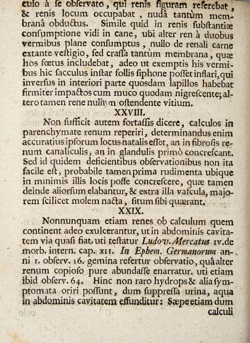 enlo a fe obfervato, qui renis figuram referebat, Se renis locum occupabat , nuda tantum mem¬ brana obdu&us. Simile quid in renis fubftantise confumptione vidi in cane, ubi alter ren a duobus vermibus plane confumptus , nullo de renali carne extante veftigio, fed craffa tantum membrana, quje hos foetus includebat, adeo ut exemptis his vermi¬ bus hic facculus inftar follis fiphone poffet inflari,qui inverfus in interiori parte quosdam lapillos habebat firmiter impaffcos cum muco quodam nigrefeente; al¬ tero tamen rene nuite m offendente vitium. XXVIII. Non fufficit autem fortaflis dicere, calculos in parenchymate renum reperiri, determinandus enim accuratius ipforum locus natalis eflet, an infibrofis re¬ num canaliculis, an in glandulis primo concrefcant. Sed id quidem deficientibus obfervationibus non ita facile eft, probabile tamen prima rudimenta ubique in minimis illis locis poffe concrefcere, quae tamen deinde aiiorfum elabantur, <k extra illa vafcula, majo¬ rem fcilicet molem nafta, fitum fibi quaerant. v XXIX. Nonnunquam etiam renes ob calculum quem continent adeo exulcerantur, ut in abdominis cavita¬ tem via quafi fiat uti teftatur Ludou. Mercatus iv.de morb. intern. cap. xi i. In Epbem. Germanorum an- „ ni i. obferv. 16. gemina refertur obfervatio, qua alter renum copiofo pure abundafle enarratur, uti etiam ibid obferv. 6 4. Hinc non raro hydrops & aliafym- ptomata oriri pofliint, dum fupprefTa urina, aqua in abdominis cavitatem effunditur: Saepe etiam dum calculi ✓ t