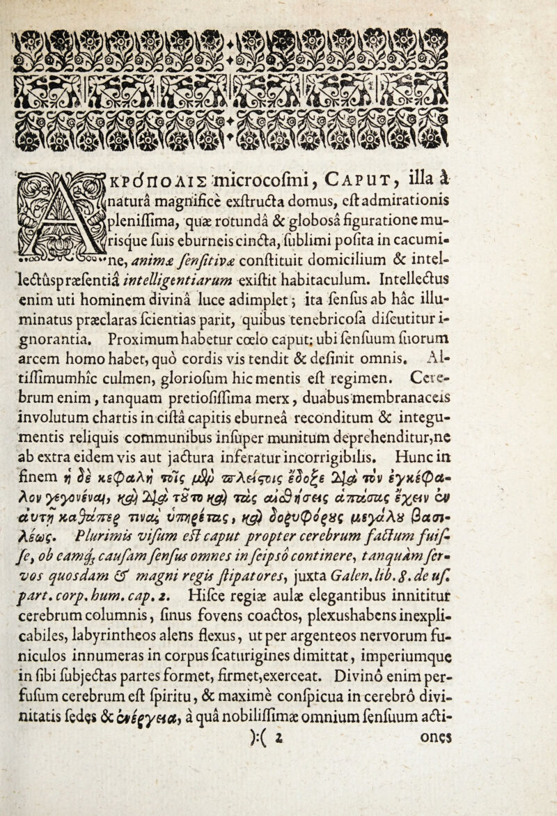 # k p 6 n o Ai s ttiicrocoftni /Caput, illa k natura magnifice exftrudta domus, eft admirationis pleniffima, quae rotunda & globosa figuratione mu¬ risque fuis eburneis cindta, fublimi pofita in cacumi¬ ne, anima fenfitiva conftituit domicilium & intel- ledtuspraefentia inteliigentiarum exiftit habitaculum. Intellecftus enim uti hominem divina luce adimplet; ita fenlus ab hac illu¬ minatus praeclaras fcientias parit, quibus tenebricofa diieutitur i- gnorantia. Proximum habetur calo caput; ubilenfuum inorum arcem homo habet, quo cordis vis tendit & definit omnis. Al- tiflimurnhic culmen, gloriofum hic mentis eft regimen. Cere¬ brum enim, tanquam pretiofiftima merx, duabusmembranaceis involutum chartis in cifta capitis eburnea reconditum & integu¬ mentis reliquis communibus inluper munitum deprehenditur,ne ab extra eidem vis aut jadtura inferatur incorrigibilis. Hunc in finem tj Ss nspctAr! tzTis [jSljj sSo^e 2J& rdv iynsQa- Aov ytyovsvcq, qgj 2>l& tStq i(g) mg cu&rlor&g UTsztaug eypiv cv dvrji Ka^ic7rs§ nvag V7t7!g$m$, qg) $ot>v<pd%%g (tsydAx (2a<n~ Asajg. Plurimi* vifum eft caput propter cerebrum fattum fuif fe} ob eamq3 caufam fenfus omnes in fcipso continere, tanquam fer- vos quosdam & magni regi* flipatores, juxta Galenjtb.8.deuf part. corp. hum. cap. 2. Hifce regiae aulae elegantibus innititur cerebrum columnis, finus fovens coatftos, plexushabens inexpli¬ cabiles, labyrintheos alens flexus, ut per argenteos nervorum fu¬ niculos innumeras in corpusfcaturigines dimittat, imperiumque in fibi fubjecftas partes formet, firmet,exerceat. Divino enim per- fufum cerebrum eft (piritu, & maxime conlpicua in cerebro divi¬ nitatis fedes & k#e£yuU) a qua nobiliflimae omnium fenfuum a<fti- ):( z ones