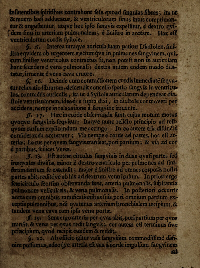 influentibusfpirrtibus contrahunt fefoqvoad fingulasfibras; itapC & mucro bafi adducatur, & ventriculorum finus intus compriman- tur & anguftentur, atqve hoc ipfo fangvis expellitur e dextro qvi- f dem finu in arteriam pulmonalem> e finiflro in aortam. Haec elf ventriculorum cordis fyftole, 0V< §+ 15, Interea utraqve auricula luam patitur Draftolen, fini- flraeqvidem ob urgentem eje&umqve in pulmones fangvinem, qvr cum finifter ventriculus contra&us fit, non poteft non iri auriculam hancfecederee vena pulmonali; dextra autem eodem modo dil&~ tatur, irruente e vena cava cruore* §'t 16. Deinde cum contra&ionem cordis immediate feqva- tur relaxatio fibrarum,defcendit conceffb fpatio fangvis in ventricu* los, contradis auriculis, ita ut a Syftole auricularum dependeat dia- flole ventriculorum,ideoqve fupra dixi, in dialtole Cor moveri per accidens,nempe in relaxatione a fangvine irruente- 43 JT* 17 * Haec in corde obfervanda jfonc* cujus motum motus qvoqve fangvinis feqvitur : Itaqve nunc relido principio ad refi- qvum curfum explicandum me accingo. In eo autem tria diftin<5c£ confideranda occurrunt; Via nempe e corde ad partes, hoc efl ar- c partibus, fcilicet Venae. i /. i8* Eft autem circulus fangvinis in duas qvafi partes inaeqvales divifus, minor § dextro ventriculo per pulmones ad fini- firum tantum fe extendit ; major e finiflro ad omnes corporis noftri partes abit, reditqve ab his ad dextrum ventriculum. In priori ergo femicirculo feorfim obfervanda fbnt, arteria pulmonalis, fubftantia pulmonum veficularis? & vena pulmonalis. In pofleriori occurrit aorta cum omnibus ramificationibusfuis pori omnium partium cx^ ceptis pulmonibus, nili qvatenus arteriam bronchialem recipiunt,^: tandem vena cava cum ipfa vena portae. Jf. 19; Suntergo&rteriae per qvas abitrporip artium per qvos tranfit, & venae per qvas redit kngvis^ cor autem efl terminus five principium, qvod recipit eundem & reddit- $.10, Ab officio igitur vafa fangyifera commodiffime defi» nirepofrumus,adeoqyearteriadlvasarCordeimpulfumfangvmem
