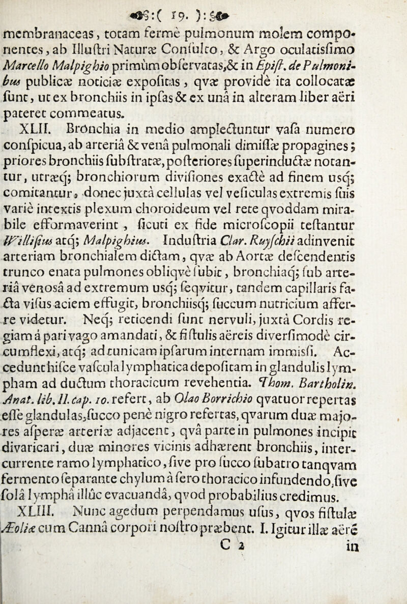 membranaceas, totam ferme pulmonem molem compo¬ nentes , ab Illuftri Natura; Coniulco, & Argo oculadsfimo Marcello Malpighio primum oblervatas,& in Epifl. de Pulmoni- bw publica; nocicite expofitas, qva; provide ita collocatae funt, ut ex bronchiis in ipfas Sc ex una in alteram liber aeri pateret commeatus. XLII. Bronchia in medio ampleduntur vala numero confpicua, ab arteria & vena pulmonali dimiffa; propagines; priores bronchiis fubftratae,pofteriores fuperinduda; notan¬ tur, utraeq; bronchiorum divifiones exade ad finem usq; comita ntura donec juxta cellulas vel veli culas extremis luis varie intextis plexum choroideum vel rete qvoddam mira¬ bile efformaverint, deuti ex fide microfcopii teftantur Willifiw atq; Malpighius. Induftria Clar. Ruyjchii ad in venit arteriam bronchialem didam, qva; ab Aorta; defeendentis trunco enata pulmones obliqve fubit, bronchi a q; fub arte¬ ria venosa ad extremum usq; feqvkur, tandem capillaris fa- da vifius aciem effugit, bronchiisq; fuccum nutricium affer¬ re videtur. Neq; reticendi funt nervuli, juxta Cordis re¬ giam a pari vago amandati, & fi flu fis aereis diverdmode cir¬ cumflexi, atq; ad tunicam ipfarum internam imroisd. Ac¬ cedunt hifce vafculalymphacicadepofitam in glandulis lym¬ pham ad dudum thoracicum revehentia. Phom. Bartholin. dnat. lib.ll.cap. io. refert, ab Olao Borrichio qvatuor repertas effe glandulasjfucco pene nigro refertas, qvarum dua; majo¬ res alperte arteria; adjacent, qva parte in pulmones incipit divaricari,dua; minores vicinis adhterent bronchiis, inter¬ currente ramo lymphatico,five pro iucco lubacro tanqvam fermento feparante chylum a fero thoracico infundendo,fivc fola l ympha illuc evacuanda, qvod probabilius credimus. XLI1I. Nunc age dum perpendamus ufus, qvos fiftula; jdlolice cum Canna corpori noltroprobent. I. Igitur illse aere c z m