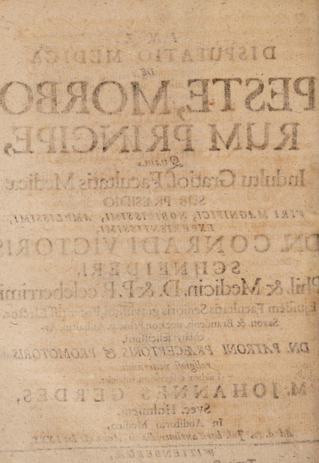 digitised image 2