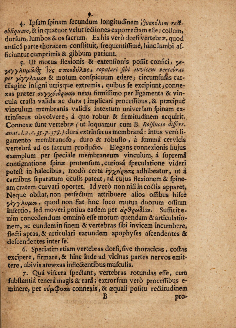 4* Ipfem fpfnam fecundum longitudinem ifycnteAioy re&~ vbliquam, & in quatuor velutfediones exporredtam ede: collum» dorfum/lumbos&osfacrum. Ex his vero dorfi vertebrae, quod antica parte thoracem conftituit, frequentifllme, hinc lumbi af¬ ficiuntur cumprimis & gibbum pariunt. 5. Ut motus Hexionis & extentionis pofllt confici» ytyyXvfiai&g tr7rov$v&XG 9 copulari fibi invicem vertebras per yiyyAvpov & motum confpicuum edere; dreumfufts car¬ tilagine infigni utrisque extremis , quibus fe excipiunt; conne¬ xas praeter truyxivi^miv nexu firmiflimo per ligamenta & vin¬ cula crafia valida ac dura } implicari proceflibus, & prascipud vinculum membranis validis intextum univerfam fpinam ex- trinfecus obvolvere, a quo robur & firmitudinem acquirit* Connexae funt vertebrae ( ut loquamur cum B. Rolfincio dijfert. mat. Lz. c.jj.p.syS-) dura extrinfecus membrana: intus vero li¬ gamento membranofo, duro & robufto , a fumma cervicis vertebra ad os facrum produ&o. Elegans connexionis hujus exemplum per fpeciale membraneum vinculum, a fupreml contignatione fpina? protenfum, curiosa fpeculatione videri potefl: in halecibus, modo certa eyx&i$r\(ni adhibeatur, ut a carnibus feparatum aculis pateat, ad cujus flexionem & fpine- am cratem curvari oportet* Id vero non nifi in codis apparet. Neque obftat,non perfe&um attribuere alios offibus hifce ytyyhvfjiov, quod non fiat hoc loco mutua duorum oflium infertio, fed moveri potius eadem per dg9%go$Icm. Sufficite- nim concedendum omnino efle motum quendam & articulatio¬ nem, ac eundemin finem & vertebras fibi invicem incumbere, fle&i aptas, & articulari earundem apophyfes afcendentes & defcendentes inter fe*. 6. Spedatim etiam vertebras dorfi,five thoracicas, coftas excipere, firmare,& hinc inde ad vicinas partes nervos emit¬ tere , ubivis annexas infle&entibus mufculis. 7. Qua vifcera fpedant, vertebras rotundas efle, cum fubftantia tenera magis & rara; extrorfum vero proceflibus e- minere, per wp(pv<nv connexis, & aquali pofitu re&itudinem B pro-