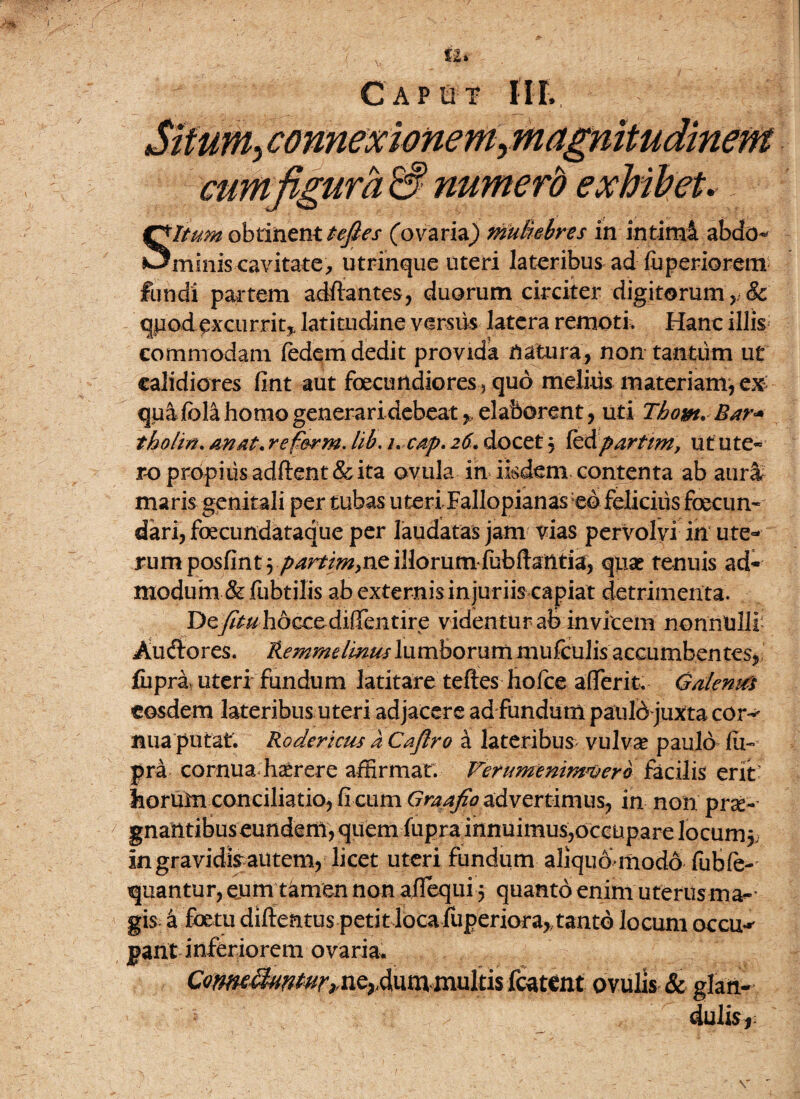 ( u* Caput I II. Situm ^connexionem ^magnitudinem cum figura & numero exhibet.: Situm obtinent tefies (ovaria) muliebres in intimi abdo¬ minis cavitate, utrinque uteri lateribus ad fuperiorem fundi partem adftantes, duorum circiter digitorum r8c qpod excurrit* latitudine versus latera remoti. Hanc illis commodam fedem dedit provida natura, non tantum ut calidiores fint aut fecundiores , quo melius materiam, ex quaibla homo generari debeat ^ elaborent, uti Tho&t.Bar* tholin. an at .re fer m. lib, /. cap. 2^. docet j fed partim, ut ute¬ ro propius adftent&ita ovula in iisdem contenta ab aura maris genitali per tubas uteri Fallopianas eo felicius fecun¬ dari, fecundataque per laudatas jam vias pervolvi in ute¬ rum posfint 5 partim,ne illorumfubftattria, quae tenuis ad¬ modum & flibtilis ab externis injuriis capiat detrimenta. Deyfr&hoccedifTeiitire videntur ab in vicem nonnulli Auctores. Remmelinus lumborum mufculis accumbentes, fupra uteri fundum latitare teftes hofce aflerit.- Galentfs eosdem lateribus uteri adjacere ad fundum pauld juxta cor^ nua putat. Rodericus a Cajlro a lateribus vulvae paulo iu- pra cornua hstrere affirmat. Verumenimuero facilis erit horum conciliatio, fi cum Ornatio advertimus, in non prae- gnatltibuseundem, quem fupra innuimus,occupare locumj; ingravidismitem, licet uteri fundum aliquo modo fubfe- quantur, eum tamen non aflequi 5 quanto enim uterus mar¬ gis a fetu difientus petit loca fuperiora,,tanto locum occu^ pant inferiorem ovaria. C<?WK$tvtwr*nc,d\\m<muhis fmttit ovulls & glan¬ dulis,: