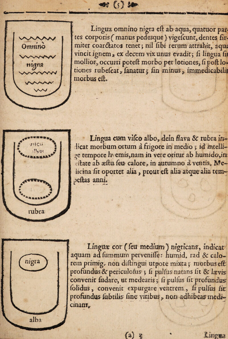 ' tes corporis ^'manus ped^sque )vigrfGunr5,dentes & miter coar<5tatos tenet; nil fibi reram atttabit,* aqus vincitignem*. ex decem vix unus evadit; fi lingua fit , molliorj occuni poteft morbo per lotiones, fi pofl lo^ danes rubefcatj fanatur;, fin minus immedicabilil morbus eft. Lingua cum vifco albo, dein flava Sc rubra licat morbum ortum a frigore in medio ;: id mteili- ge tempore h^^emis,nam in vere oritur ab humido,iri ^^date ab aeftu feu» calore, in autumno i ventis^ Me- iicinafic oportet alia, prout eft alias atque alia tem*- peftas annj» Linguae cor ( feii medium ) nigricans, indicat aquam adfummum pervenifler humid^ rad Sc calo¬ rem primig. ndn diftingui utpote mixta ; morbus eft profundus^ periculofiis ; fj puJfus natans Iit Sc Isevh convenit fudare, ut medearis;- fi pulfus fit profundus’ (olidus, convenit expurgare ventrem, fipulfus fst profundus fubtilis fineyirjbu$> non adhibeas’ cmnr^