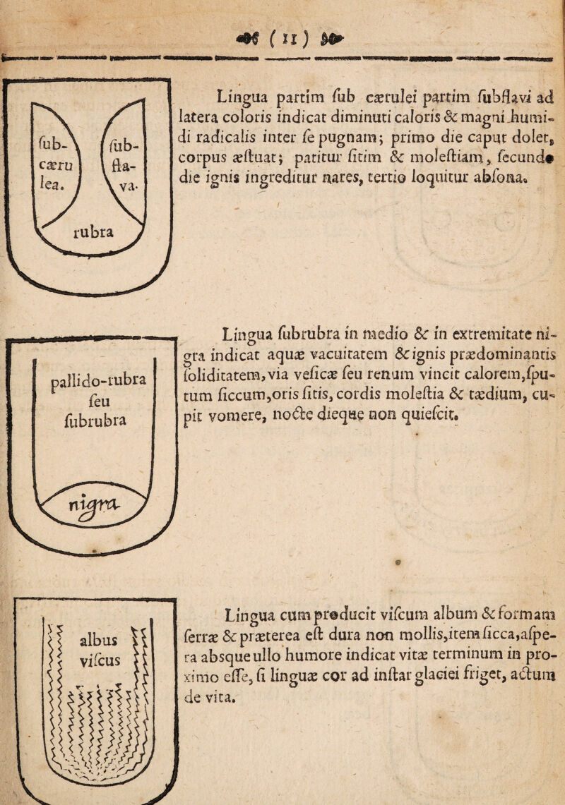 f» ^ (tl) Lingua partim fub c^rulei paitim fubflavi ad latera coloris indicar diminuti caloris & magniimmi* di radicalis inter /e pugnam; primo die caput doletj corpus seituat; patitur fidm & moleffciam, fecund# die ignis ingreditur aares^ tertio loquitur abfona» Lingua fubrubra in medio Sc in extremitate ni¬ gra indicat aquas vacuitatem & ignis prsedominantis (blidicatem,via veficas feu renum vincit calorem,fpu- tum ficcum^orislitisjcordis moleftia 8c t^dium, cu¬ pit vomere, node dieque non quiefcit» f albus I' < vifcus r- < 5 A V i4p ii < ;sr' Lingua cum producit vifcum album & formam ferrse 5^ prasterea eft dura non mollis,itemlicca,afpe- ra absque ullo humore indicat vit^ terminum in pro¬ ximo elTe, Ci linguas cor ad inftar glaciei friget, adum de vita.