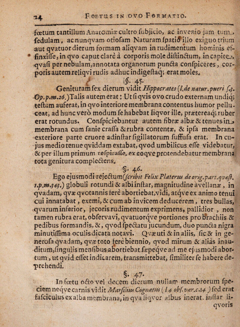 i; i -.»iw—i '>.1 an. a »m ' ■ i ■ ■■ ** > -T— ui iiuu..li .. -.■■...m »^.wn» «^iinw foetum tantillum Anatomia? cultro fubjicio, ac invenio jam tum-* fedulam, acnunqvam otiofam Naturamlpati(f’iIIo exiguo trium aut qvatuor dierum formam aliqvam in rudimentum hominis et«. finxiffe, in qvo caput clare a corporis mole diftindum, in capito, qvafi per nebulam,annotata organorum punda confpiceres, cor¬ poris autem reliqvi rudis adhuc indigeftaq; erat moles* i , $•. 45* Genituram fex dierum vidit Hippocrates {l.denatur.pueri Op.p.m.26.)Talis autem erat: Ut (i qvls ovo crudo externam undiq; teftam auferat, in qvo interiore membrana contentus humor pellu- ceat, ad hunc vero modum fe habebat liqvor ille, prsetereaq; ruber erat rotundus» Confpiciebantur autem fibra? alba? & tenues iru membrana cum fanie cralfa & rubra contentae, & ipfa membrana exteriore parte cruore adindar figillatorum fufFufa erat. In cu~ jus medio tenue qviddam extabat, qvod umbilicus effe videbatur, &per illum primum refpiraffe» ex eoqve protendebatur membrana tota genitura complectens^ §. 4^ Ego ejusmodi rejedum (Jcribtt Felix Flat er m deorig.pan.g vafl, t.p*m$43.) globuli rotundi&albiinftar,magnitudine avellana?, in qvadam, qva? qvotannis fere abortiebat,vidi, atqve ex animo tenui cui innatabat, exemi, & cum ab invicem deducerem, tres bullas, qvarurn inferior, jecoris rudimentum exprimens, pallidior , non tamen rubra erat, obfervavi, qvatuorqve portiones pro brachiis & pedibus formandis, &, qvod ipedatu jucundum, duo punda nigra minutiflima oculis dicata notavi. Qva? uti & in aliis, fic&r in ge¬ ne rofa qvadam, qva? toto fere biennio, qvod mirum & alias inau¬ ditum,lingulis menfibus abortiebat,fepeq ve ad me ejusmodi abor¬ tum , ut qvid effet indicarem, transmittebat, limiliter fe habere de¬ prehendi. §♦ 47* In foetu odo vel decem dierum nullam membrorum fpe- ciem neqve carnis vidit Marfdtpt* Cognatus (1.4 0bf.var.ca4 ) fed erat fafciculus exalba membrana,in qva liqvor albus inerat, indar li¬ qvor is