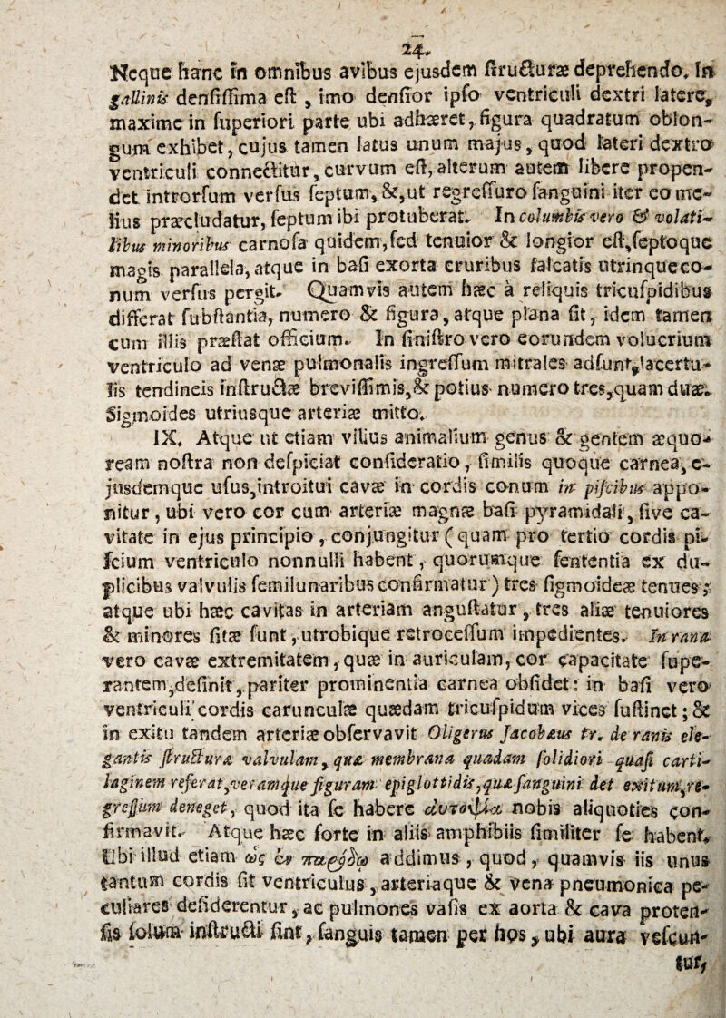 24* Neque hanc in omnibus avibus ejusdem firu&urae deprehendo. In gallinis denfiflima efl:, imo denlior ipfo ventriculi dextri latere, maxime in fuperiori parte ubi adhaeret, figura quadratum oblon¬ gum exhibet, cujus tamen latus unum majus, quod lateri dextra ventriculi conne&ithr, curvum efl, alterum autem libere propen¬ det introrfum verius feptum,8f,ut regreffurofangmni iter come- fius procludatur, feptum ibi protuberat» In columbis vero & volati- lilus minoribus carnofa quidem,fed tenuior & longior eft,feptoquc magis parallela, atque in bafi exorta cruribus falcatis utrin que co¬ num verius pergit. Quamvis autem hoc a reliquis tricufpidifeus differat fubfiantia, numero & figura,atque plana fit, idem tamen cum iliis proflat officium. In finiftro vero eorundem volucrium ventriculo ad vente pulmonalis ingreffum mitrales adfunt,lacertu- lis tendineis infiruflse breviffimis,& potius- numero tres,quam duae'* Sigmoides utriusque arteriae mitto. IX. Atque ut etiam vilius animalium genus & gentem sequo-* ream noflra non defpiciat confideratio, fimilis quoque carnea, c- jnsdemque ufus,introitui cavae in cordis conum 'm pifeibu* appo¬ nitur , ubi vero eor cum- arteriae magnae bafi pyramidali, five ca¬ vitate in ejus principio , conjungitur ( quam pro tertio cordis pii. fcium ventriculo nonnulli habent, quorumque lententia ex du¬ plicibus valvulis femilunaribuB confirmatur ) tres figmoideae tenues^ atque ubi hsec cavitas in arteriam anguftatar, tres alias tenuiores & minores fitae funt ,utrobique retroceffum impedientes. In rana vero cava extremitatem , qu£C* in auriculam, cor capacitate lupe- rantemydefinit,.pariter prominentia carnea oblidet: in bafi vero ventriculi'cordis carunculas quaedam tricufpidum vices luflinet; & in exitu tandem arteriae oblervavit Oligerus Jacobeus tr, de ranis ele¬ gantis JlruBure. valvulam, que. membrana quadam (blidiori quafi carti¬ laginem referat^vetanique figurant epiglottidis,quefanguini d.et exitimpre* grefrum deneget, quod ita fe habere dv-totf** nobis aliquoties con¬ firmavit. Atque haec forte in aliis amphibiis fimiiiter fe habent* libi illud etiam «V cv addimus, quod, quamvis- iis unus tantum cordis fit ventriculus , arteriaque & vena pneumonica pe¬ culiares defiderentur,ac pulmones vafis ex aorta & cava protert- & (©fotta- infteu&i fint, (anguis tamen per hos , ubi aura vefeurt- tur>