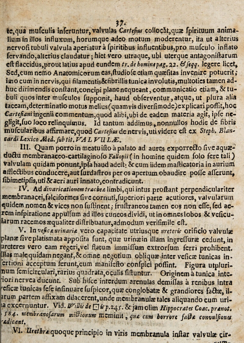 te,qua mufculis inferuntur, valvulas Cartefius colloc§t,quse fpirituum anima¬ lium in illos influxum,horumque adeo motum moderentur, ita ut alterius nervofi tubuli valvula aperiatur k fpiritibus influentibus,pro mufculo inflato fervando,alterius claudatur; hiet vero utraque, ubi uterque antagoniftarum eftflaccidus,proutlatius apud eundem tr.debomimpag.22. &ftqq. legere licet, Sed,cum nemo Anatomicorum cas,ftudiofe etiam qualitas invenire potuerit,' imo cum in nervis,qui filamentis&fibrillis tunica involutis,multoties tamen ad¬ huc dirimendis conflant,concipi plane nequeant, communicatio etiam, & tu¬ buli quos inter mufculos fupponit, haud obferventur, atque, ut plura alia taceam,determinatio motus melius(quamvis divcrfimodc)cxplicaripoffit,hoc Cartejiam ingenii commentum,quod alibi,ubi de eadem materia agit, ipfe ne- gligit.fuo loco relinquimus. Id tantum addimus,nonnullos hodie de fibris mufcularibus affirmare,quod Cartefius denervis,uti videre eft ex Stepb. Blan- tardiLexicoMed.fuh tit. VA L VU LM. III. Quam porroin mcatuifto a palato ad aures exporreflo fiveaquae- duftu membranaceo-cartilaginofo Faliopii(in homine quidem folo fere tali} valvulam quidam ponunt,ipfa haud adefl; & cum iidem mafticatoria in aurium affle&ibus conducere,autfurdaftros per os apertum obaudire poffe afferunt, fibimetipfis, uti & aeri auri innato,contradicunt. IV. Ad divaricationem trachea limbi, qui intus proflant perpendicularitcr : membranacei, falciformes five cornuti,fupcriori parte acutiores, valvularum iquidem nomen & vices non fuftinent; fruAraneos tamen cos non efle, fcd ae- :rcm infpiratione appuifum ad illos cuneos dividi, ut in omnes lobos & veficu- iarum racemos aequaliter diflribuatur,admodum verifimile eft. V. In vejic& urinaria vero capacitate utriusque ureteris orificio valvulae planae fiveplatismataappofita funt, quae urinaein illam ingreffurae cedunt, in lureteres vero cam regeri,vel flatum immiffum extrorfum ferri prohibent, illlas male quidam negant,&omne negotium obliquae inter vefiese tunicas in- fertioni acceptum ferunt,cum manifefto confpici poflint. Figura utpluri- inum femicirculari,rarius qu3drata,oculis fifluntur. Originem a tunica inte- ionnervea ducunt. Sub hifcc interdum arenulas demiflas a renibus intra 'cficae tunicas fefe infinuare fufpicor,quse conglobatae & grandiores fa£he, il- arum partem affixam diiaccrent,undc membranulae tales aliquando cum uri- ;ta excernuntur. Vid. mUisde E^P-HU &'jamolim Hippocrates Coac.pranot. j qua cum horrore fa$a convulliones ' edicant. J J ,Vl. Uretbr* quoque principio in viris membranula inilar valvulae cir-
