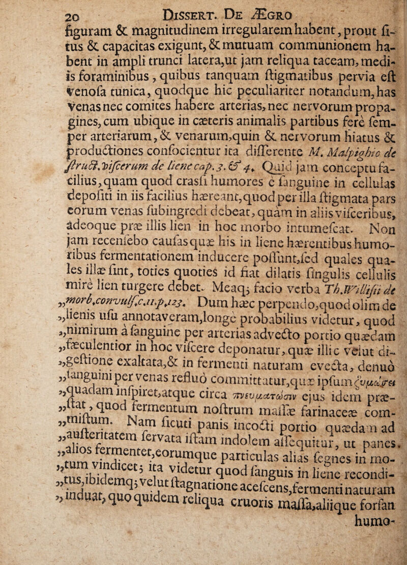 figuram &. magnitudinem irregularem habent , prout fi- tus & capacitas exigunt, & mutuam communionem ha¬ bent in ampli trunci latera,ut jam reliqua taceam, medi¬ is foraminibus, quibus tanquam ftigmaiibus pervia eft Venofa tunica, quodque hic peculiariter notandum,has Venas nec comites habere arterias, nec nervorum propa¬ gines, cum ubique in cteteris animalis partibus fere fem- per arteriarum,& venarum,quin & nervorum hiatus & productiones confocientur ita differente M. Malpighm de JiruSi.VtJcerum de lienecap.j.id4„ Quid jam conceptu fa¬ cilius,quam quod crasfi humores e fanguine in cellulas depofiti in iis facilius haereant,quod per illa fiigmata pars eorum venas fubingredi debeat, quam in aliisvifceribus, adeoque prae illis lien in hoc morbo intumefcat. Non jam recemebo caulasquae his m liene haerentibus humo¬ ribus fermentationem inducere poflunt/ed quales qua¬ les illae fint, toties quoties id fiat dilatis fingulis cellulis mire lien turgere debet- Meaqj facio verba Th.Willtfii de y,Morbtconvu/Jlc.n.pti23. Dum haec perpendo,quod olim de ,,lienis ufu annotaveram,longe probabilius videtur, quod ,,nimirum a fanguine per arterias advedto portio quaedam „faeculent!or in hoc vifcere deponatur, quae illic vdut dr~ ,,geltione exaltata,& in fermenti naturam evedta, denub „1 angumi per venas refluo committatur,quae ipfum(vpdjfm Udt( am inlpiiet/arque circii Ttysuuctrcoaiv ejus idem pne- ”mlk1lUOdMerrae^tum noftrum maflae farinaceae com- ” ' am ficuti panis incodti portio quaedam ad ”1: r B ervata udam indolem aflequitur, ut panes 51C,e°rU?1<lUe P^^ulas aliis fegnes in rno- ,?tus ibidemn ;!5a^ldetUr-quodfanguis.in liene recondi- W induat auonnidf- atIone acefcens,fermenti naturam 75 ^U0 ^Uldem reh(i«a cruoris maffa,aliique forfan . humo-