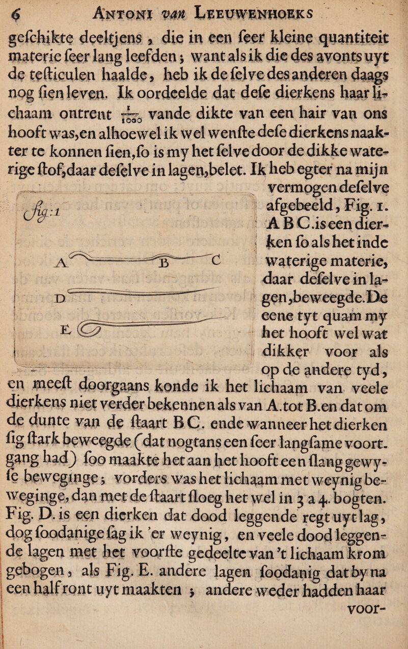 gclchikte deeltjens , die in een leer kleine quantiteit materie leer lang leefden; want als ik die des avonts uyt de telKculen haalde, heb ik de felve des anderen daags nog Hen leven. Ik oordeelde dat defe dierkens haar li¬ chaam ontrent ” vande dikte van een hair van ons ta:l A D I hooft was,en alhoewel ik wel wenfte defe dierkens naak ter te konnen fien,fo is my het felve door de dikke wate¬ rige Hof,daar defelve in lagen,belet. Ik heb egter na mijn vermogen defelve | afgebeeld, Fig. i. ABC.iseendier- kenfo als het inde ' Waterige materie, daar defelve in la¬ gen ,be weegde. De eene tyt quam my het hooft wel wat dikker voor als op de andere tyd, en meelt doorgaans konde ik het lichaam van veele dierkens niet verder bekennen als van A.tot B.en dat om de dunte van de Haart BC. ende wanneer het dierken gang had) foo maakte het aan het hooft ee n Hang gewy- fe bewcginge; vorders was het lichaam met weynig be- weginge, dan met de Haart floeg het wel in 3 a 4. bogten. Fig. D. is een dierken dat dood leggende regtuytlag, dog foodanige lag ik er weynig, en veele dood leggen¬ de lagen met het voorlte gedeelte van ’t lichaam krom gebogen, als Fig. E. andere lagen foodanig datbyna een half ront uyt maakten ■, andere weder hadden haar voor-