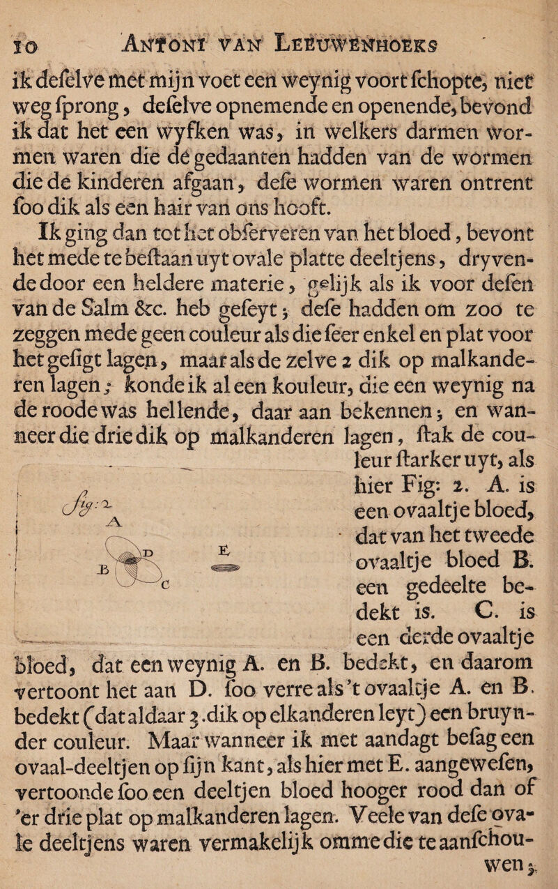 ik defelve met mijn voet een weynig voort fchopte, niet weg fprong, defelve opnemende en openende, bevond ik dat het een Wyfken was, in welkers darmen wor¬ men waren die de gedaanten hadden van de wormen die de kinderen afgaan, dele wormen waren ontrent fbo dik als een hair van ons hooft. Ik ging dan tot het oblèrveren van het bloed, bevont het mede te beftaan uyt ovale platte deeltjens, dryven- dedoor een heldere materie, gelijk als ik voor delen vandeSalm&c. heb geleyt; dele hadden om zoo te zeggen mede geen couleur als die feer enkel en plat voor het gefigt lagen , maar als de zelve z dik op malkande- ren lagen; kondeik al een kouleur, die een weynig na deroodewas hellende, daaraan bekennen> en wan¬ neer die drie dik op malkanderen lagen, ftak de cou¬ leur ftarker uyt, als hier Fig: 2. A. is een o vaaltje bloed, dat van het tweede ovaaltje bloed B. een gedeelte be¬ dekt is. C. is een derde ovaaltje bloed, dat een weynig A. en B. bedekt, en daarom vertoont het aan D. foo verre als’t ovaaltje A. en B. bedekt (Aataldaar 3 .dik op elkanderen leyt} een bruyn- der couleur. Maar wanneer ik met aandagt belag een ovaal-deeltjen op fijn kant, als hier met E. aangewefen, vertoonde lbo een deeltjen bloed hooger rood dan of ’er drie plat op malkanderen lagen. Veele van defe ova¬ le deeltjens waren vermakelijk ommedieteaanfchou-