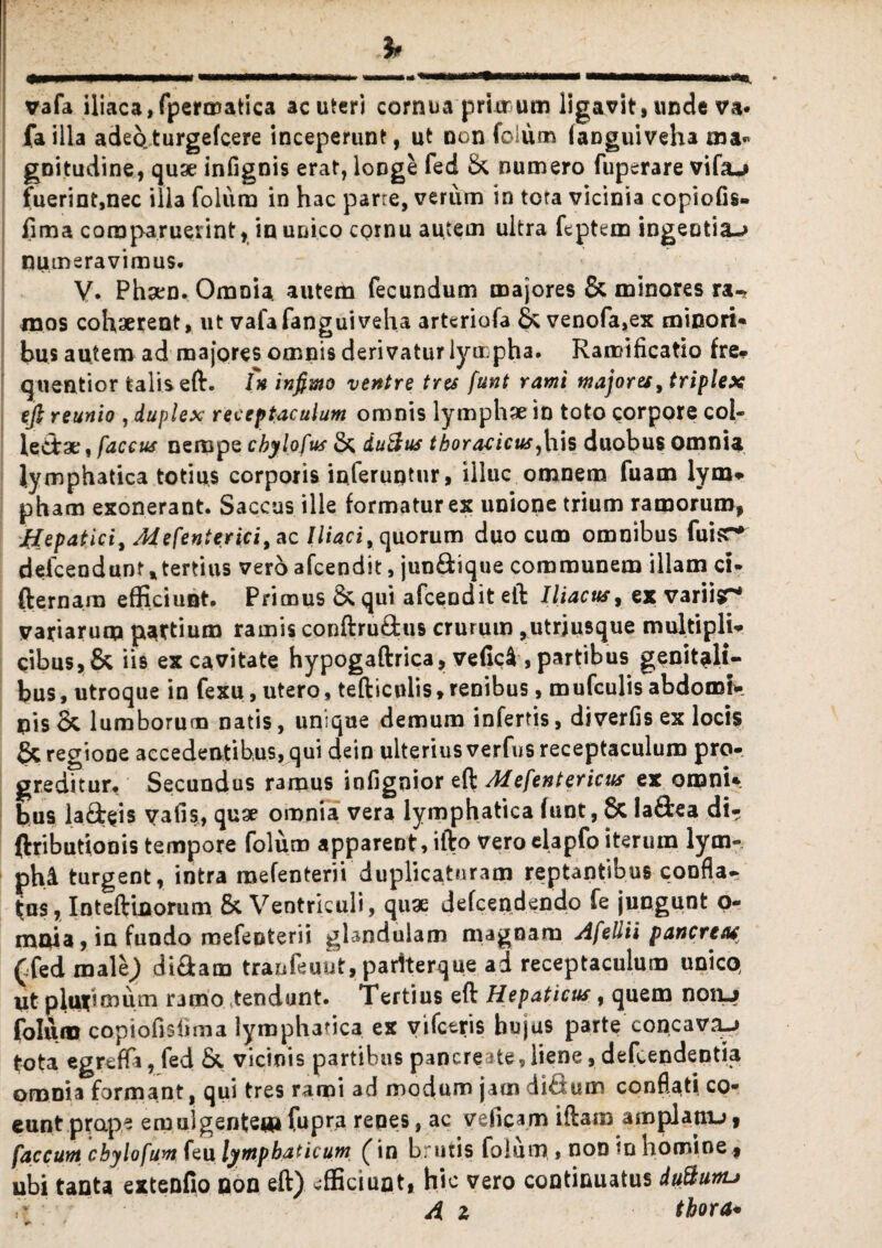 vafa iliaca, fpermatica ac uteri cornua pricrum ligavit, unde va* failla adeQturgefcere inceperunt, ut non foium fanguiveha ma« gDitudine, quae infignis erat, longe fed & numero fuperare vifa-> fuerint,nec illa foium in hac parre, verum in tora vicinia copiofis- fima comparuerint, in unico cornu autem ultra feptem ingentia-» numeravimus. V. Phsen. Omnia, autem fecundum majores & minores ra- mos cohaerent, ut vafafanguiveha arteriofa £* venofa,ex minori» bus autem ad majores omnis derivatur lyu pha. Ramificatio fre- queatior talis eft. I* infimo ventre tres funt rami majores, triplex eft reunio , duplex receptaculum omnis lymphae in toto corpore coi- ledrae, faccus nempe chylo fus & du&us thoracicus,his duobus omnia lymphatica totius corporis inferuntur, illuc omnem fuam lym* pham exonerant. Saccus ille formatur ex unione trium ramorum, -Hepatici% Afefen.te.rici, ac Iliaci, quorum duo cum omnibus fuisr* defcendunt*tertius vero afcendit, jun&ique communem illam ci- (Urnam efficiunt. Primus & qui afceodit eft Iliacus, ex variisr1 variarum partium ramis conftru&us crurum ,utriusque multipli» cibus, & iis ex cavitate hypogaftrica, veficl, partibus genitali¬ bus, utroque in fexu, utero, tefticulis,renibus, mufculis abdomiy pisSc lumborum natis, unique demum infertis, diverfis ex locis & regione accedentibus, qui dein ulterius verfus receptaculum pro¬ greditur, Secundus ramus infignior eft Mefentericus ex omni» bus la&eis vafis, quae omnia vera lymphatica (unt, & Ia&ea di- ftributionis tempore foium apparent, ifto veroelapfo iterum lym- ph& turgent, intra mefenterii duplicaturam reptantibus confla¬ tos, Inteftinorum & Ventriculi, quae defcendendo fe jungunt o- mnia, in fundo mefenterii glandulam magnam Afeliii pancreas (fed raale) di&am tranfeuut, parlterque ad receptaculum unico, Ut plurimum ramo .tendunt. Tertius eft Hepaticus, quem noru foium coptofislima lymphatica ex vifctris bujus parte concava-» tota egreffi, fed & vicinis partibus pancreate,liene, defcendentia pmoia formant, qui tres rami ad modum jam diSum conflati co¬ eunt prape em ul gentem fupra renes, ac veficam iftam amplatxu, faecum chylo fum feu lymphaticum (in brutis foium , non in homine f ubi tanta extenfio non eft) efficiunt, hic vero continuatus duttunu A z thora-