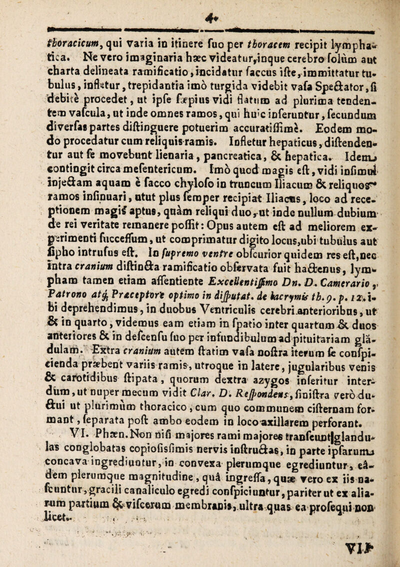 4* thoracicum, qui varia in itinere fuo per thoracem recipit lympha* dea. Ne vero imaginaria haec videatur,inque cerebro folum aut charta delineata ramificatio,incidatur faccus ifte, immittatur tu* bulus, infletur, trepidantia imo turgida videbit vafa Spe&afor ,fi rfebite procedet, ut ipfe fopiusvidi flatum ad plurima tenden¬ tem vafcula, ut inde omnes ramos, qui hmc inferuntur, fecundum diverfas partes diftinguere potuerim accuratiffime. Eodem mo¬ do procedatur cum reliquis ramis. Infletur hepaticus, diftenden- tur aut fe movebunt lienaria, pancreatica, & hepatica. Idenu contingit circa mefentericum. Imo quod magis eft, vidi infimoi injeSam aquam e facco chylofo in truncum Iliacum & reliquor* ramos infinuari, utut plus feraper recipiat Iliacus, loco ad rece. ptionem magi* aptus, quam reliqui duo,ut inde nullum dubium de rei veritate remanere poflit: Opus autem eft ad meliorem ex¬ perimenti fucceffum, ut comprimatur digito locus,ubi tubulus aut fipho intrufus eft. In fupremo ventre obfcurior quidem res eft,nec intra cranium diftin&a ramificatio obfervata fuit ha&enus, lym¬ pham tamen etiam aflentiente ExceUentiffimo Dn. D. Camerario r Patrono at% Praceptorie optimo in dijputat• de kicrymif th.p. p. /2. i* fci deprehendimus, in duobus Ventriculis cerebri,anterioribus,ut & in quarto, videmus eam etiam in fpatiointer quartum& duos anteriores & in defeenfu fuo per infundibulumadpituitariam gla- dulam. Extra cranium autem ftatim vafa aoftra iterum fc confpi- cienda pr*bent variis ramis, utroque in latere, jugularibus venis & carbtidibus ftipata, quorum dextra' azygos inferitur inter¬ dum, ut nuper mecum vidit Clar, D. Refyondeus, iloiftra cero du- fl:ui ut plurimum thoracico, cum quo communem cifternam for* mant, feparata poft ambo eodem in loco axillarem perforant* VI. Phsen. Non nifi majores rami majores tranfeunt|glandu* las conglobatas copiofisflmis nervis inftru&as, in parte ipfarunu concava ingrediuntur, in convexa plerumque egrediuntur, e£- dem plerumque magnitudine, qud ingreffa, quae vero ex iis oa* fcuntur, gracili canaliculo egredi confpiciuntur, pariter ut ex alia¬ rum partium vifcerum membranis, ultra quas ea profeon! non licet*. , * r * \ • i . . , , , . . . VI#*