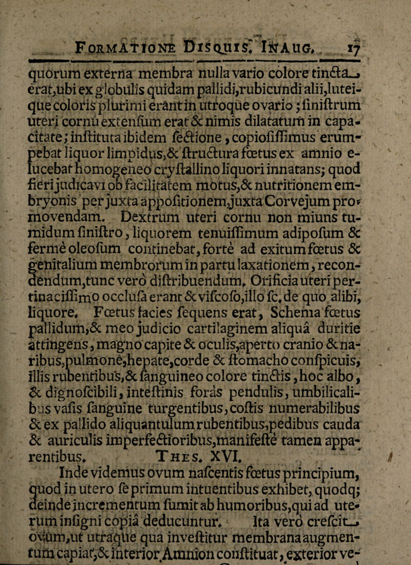 quorum externa membra nulla vario colore tin£ts_» erat,ubi ex globulis quidam pallidi,rubicundi alii,lutei¬ que coloris plurimi erantin utroque ovario jfmiftrum uteri cornu extenfum erat & nimis dilatatum in capa¬ citate >inftituta ibidem leCtione, copiofiffimus erum¬ pebat liquor limpidus,& ftru&ura foetus ex amnio e- lucebat homogeneo cryftallino liquori innatans; quod fieri judicavi ob facilitatem motus,& nutritionem em¬ bryonis per juxta appofitionem,juxta Corvejum pro» movendam. Dextrum uteri cornu non rniuns tu¬ midum finiftro, liquorem tenuilfimum adipofum & ferme oleolum continebat, forte ad exitum foetus & genitalium membrorum in partu laxationem /recon¬ dendum, tunc vero diftribuendum, Orificia uteri per- tinaciffimo occlula erant &vifcofo,illo fc, de quo alibi, liquore. Foetus facies fequens erat, Schema foetus pallidum,& meo judicio cartilaginem aliqua duritie attingens, magno capite & oculis,aperto cranio & na¬ ribus,pulmone,hepate,corde & ftomacho confpicuis, illisrubentibu's,&{anguineocolore tin£lis,hoc albo, & dignofcibili, inteftinis foras pendulis, umbilicali¬ bus vafis fanguine turgentibus,coftis numerabilibus &ex pallido aliquantulum rubentibus,pedibus cauda & auriculis irnperfe6tioribus,manifefte tamen appa¬ rentibus Thes. XVI. Ittde videmus ovum nafcentis foetus principium, quod in utero fe primum intuentibus exhibet, quodq; deinde incrementum fumit ab humoribus,qui ad ute¬ rum infigni copia deducuntur. Ita vero crefcit—. o\ium,ut utraque qua inveftitur membrana augmen¬ tum capiat,& interior Amnion conftituat ^exterior ve-