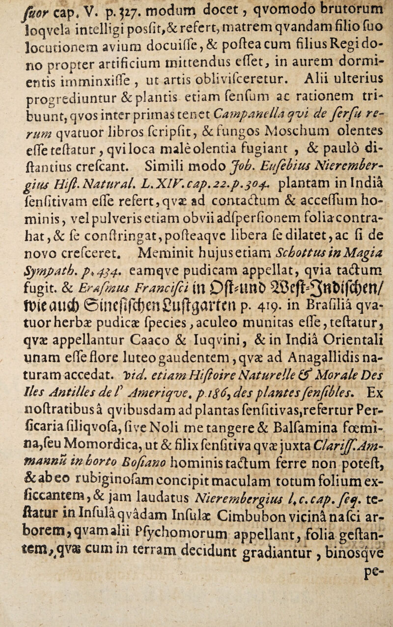 fuor cap. V. p.527. modum docet, qvomodo brutorum loqvela intelligi posfit,&refert, matrem qvandam filio fuo locutionem avium docuifie, & pofleacum filius Regi do¬ no propter artificium mittendus edet, in aurem dormi¬ entis im minxi fle , ut artis oblivifceretur. Alii ulterius progrediuntur & plantis etiam fenfum ac rationem tri¬ buunt, qvos inter primas tenet Campanellaqyi de ferfu re¬ rum qvatuor libros fcripfit, & fungos Moschum olentes efieteftatur, qviloca male olentia fugiant , & paulo di- ftantius crefcant. Simili modo Joh. Eufebius Nieremher- gius Htfi.Natural. L.XIF.cap.22.p.jo4. plantam in India Tenfitivam efie refert, qvae ad contadutn & acceflutn ho¬ minis, vel pulveris etiam obvii adfperfionem foliacontra- hat,& fe conftringat,pofteaqvc libera fedilatet,ac fi de novo crefceret. Meminit hujusetiam Schottus in Magia Sympatb. p> 434. eamqve pudicam appellat, qvia ta&um fugit. & Erafmus Francfii (U Dff#UnC> nneausb ©ineftfdjenCuffgarrm p. 419. in Brafilia qva¬ tuor herbae pudicae fpecies,aculeo munitas efie,teftatur, qvae appellantur Caaco & Iuqvini, &in India Orientali unam efie flore luteo gaudentem, qvae ad Anagallidis na¬ turam accedat. Totd. etiam Hfioire Naturelle Q? Morale Des lies Antilles de /’ Ameriqve, p.iSdes plantes fenfibles. Ex noftratibus a qvibusdam ad plantas fenfitivas,refertur Per- ficariafiliqvofa,fiveNoli me tangere & Balfamina foetm- na,feu Momordica, ut & filix fenfitiva qvae juxta ClariJf.Am- mannu in horto Bofiano hominis ta&um ferre non poteft, &abeo rubiginofam concipit maculam totum folium ex- (kcantem, & jam laudatus Nierembcrgitis l„ c. cap. feq. te- Hator in Infula q vadam Infulae Cimbubon vicina na(ci ar¬ borem, qvam alii Pfychomorum appellant, folia geftan- tem^qvas cum in terram decidunt gradiantur , binosqve pe-