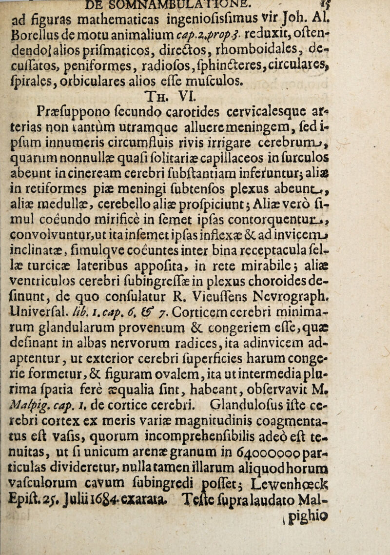 DE SOMNAMBULAI IUNE. ^ ■ ff ad figuras mathematicas ingeniofisfimus vir Joh. AI. Borellus de motu animalium cap.zpropj. reduxit, often- dendojlaliosprifmaticos, dire&os, rhomboidales, de- cuiTatos, peniformes, radiofos, fphindteres,circulares, fpirales, orbiculares alios efle mufculos. Th. VL Praefuppono fecundo carotides cervicalesque ar¬ terias non tantum utramque alluere meningem, fedi- pfum innumeris circumfluis rivis irrigare cerebrum-», quarum nonnullae quafi folitariae capillaceos in furculos abeunt in cineream cerebri fubftantiara inferuntur} alias in retiformes piae meningi fubtenfos plexus abeunt-», aliae medullae, cerebello aliae profpiciunt 5 Aliae vero fi- mul coeundo mirifice in femet ipfas contorquentur.. > convolvuntur,ut ita infemet ipfas inflexae Sc ad invicem,» inclinatae, fimulqve coeuntes inter bina receptacula fel- lae turcicae lateribus appofita» in rete mirabile; aliae ventriculos cerebri fubingreflae in plexus choroidcsde- finunt, de quo confulatur R. Vieuflens Nevrograph. Univerfal. lib. i.cap. & 7. Corticem cerebri minima¬ rum glandularum proventum & congeriem efle,quae definant in albas nervorum radices,ita adinvicem ad¬ aptentur , ut exterior cerebri fupcrficies harum conge¬ rie formetur, & figuram ovalem, ita ut intermedia plu¬ rima fpatia fere aequalia fint, habeant, obfervavit M. Malpig. cap. 1, de cortice cerebri. Glandulofus ifte ce¬ rebri cortex ex meris variae magnitudinis coagmenta¬ tus eft vafis, quorum incomprchenfibilis adeoeft te¬ nuitas, ut fi unicum arenae granum in 64000000 par¬ ticulas divideretur, nulla tamen illarum aliquod horum vafculorum cavum fubingrcdi poflet, Lewenhoeck Epift. 2/, J ulii 16$4- exarata. Tefte fupra laudato Mal-