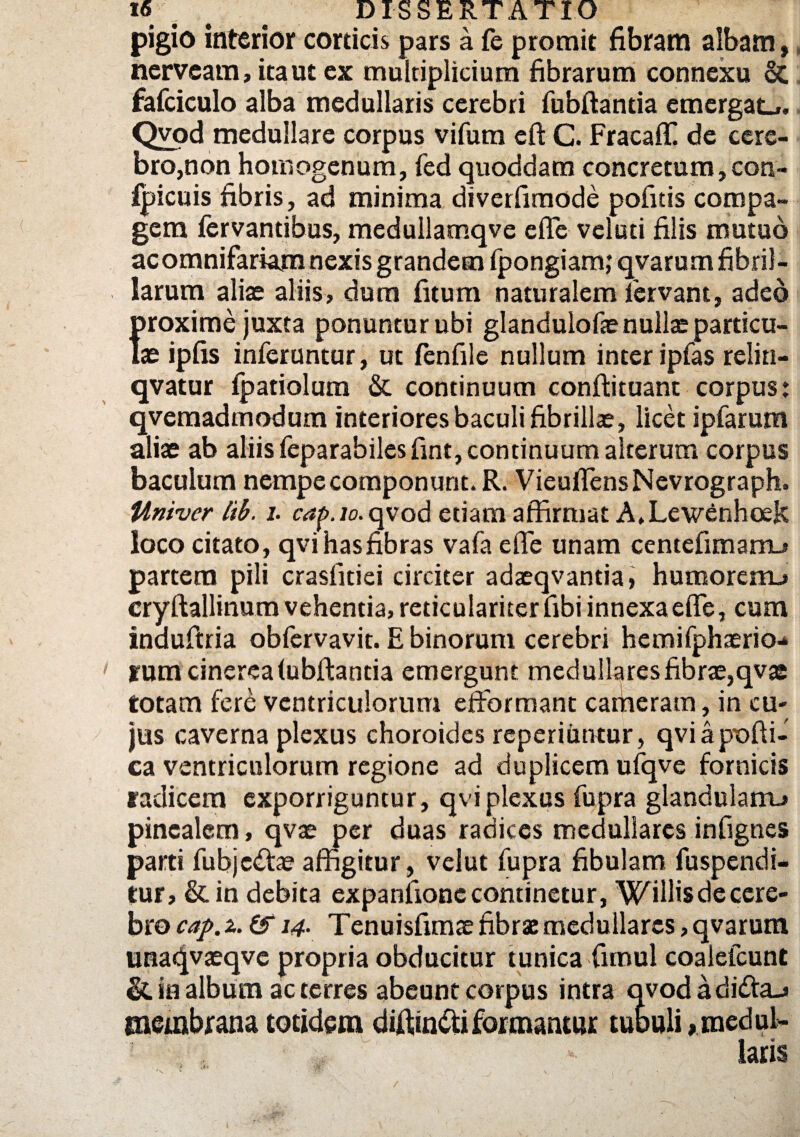 pigio interior corticis pars a fe promit fibram albam, ncrveam, ita ut cx multiplicium fibrarum connexu & fafciculo alba medullaris cerebri fubftantia emergat^. Qvod medullare corpus vifum eft C. Fracaffi de cere¬ bro,non homogenum, fed quoddam concretum, con- fpicuis fibris, ad minima diverfimode pofitis compa¬ gem fervantibus, mcdullamqve efle vcluti filis mutuo ac omnifariam nexis grandem fpongiamjqvarum fibril¬ larum alias aliis, dum fitum naturalem fervant, adeo proxime juxta ponuntur ubi glandulofas nullae particu¬ lae ipfis inferuntur, ut fenfile nullum inter ipfas relin- qvatur fpatiolum & continuum conftituant corpus: qvcmadmodum interiores baculi fibrillas, licet ipfarum aliae ab aliis feparabiles fint, continuum alterum corpus baculum nempe componunt. R. VieuflensNevrograph. Univer Itb. i. c^g.ro.qvod etiam affirmat A»Lew£nhoek loco citato, qvihasfibras vafa effe unam centefimarrL» partem pili crasfitiei circiter adasqvantia, humorem.» cryftallinum vehentia, reticulariterfibi innexa effe, cum inauftria obfervavit. E binorum cerebri hemifphaerio-* • rum cinerea iubftanda emergunt medullares fibrae,qvae totam fere ventriculorum efformant carheram, in cu¬ jus caverna plexus choroides reperiimtur, qviapofii- ca ventriculorum regione ad duplicem ufqve fornicis radicem exporriguntur, qvi plexus fupra glandulam, pinealem, qvas per duas radices medullares infignes parti fubjc&as affigitur, velut fupra fibulam fuspendi- tur, & in debita expanfione continetur, Willisdecere- bro cap.z.& 14. Tenuisfimae fibrae medullares, qvarum unaqvaeqve propria obducitur tunica fimul coalefcunt & in album ac terres abeunt corpus intra avodadida-» membrana totidem diffindi formantur tutuli,medul¬ latis /■ i *** •,&; /