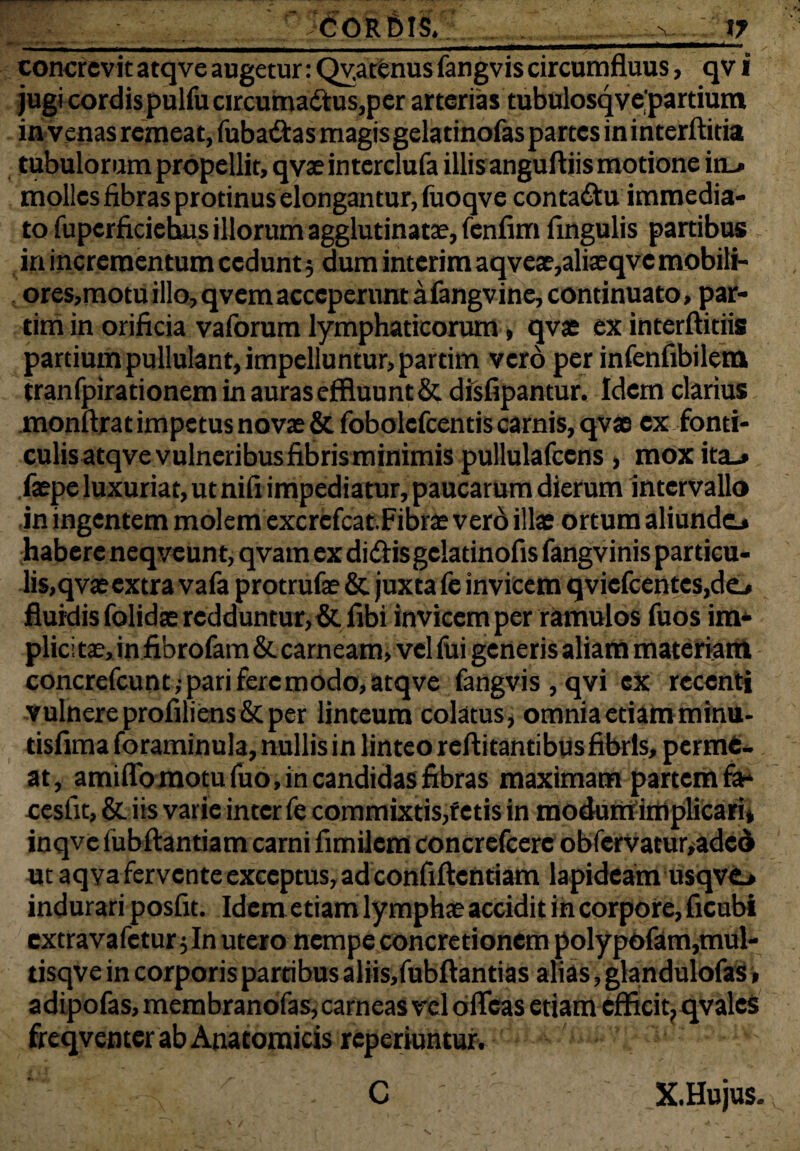 'S CORDIS, , , v..- IT concrevit atqve augetur: Qv.atenus fangvis circumfluus, qv i jugi cordis pulfu circuma£tus,per arterias tubulosqvepartium in venas remeat, fuba&as magis gelatinofas partes in interftitia tubulorum propellit, qvaeinterclufa illis anguftiis motione in_» molles fibras protinus elongantur, fuoqve conta&u immedia¬ to fupcrficiebus illorum agglutinatae, fenfirn fingulis partibus in incrementum cedunt 5 dum interim aqveae,aliaeqve mobili- ores,motuillo,qvemacceperimtafangvine, continuato, par- tim in orificia vaforum lymphaticorum, qvae ex interftitiis partium pullulant, impelluntur, partim vero per infenfibilem tranfpirationem in auras effluunt & disfipantur. Idem clarius monftratimpetus novae & fobolefcentis carnis, qvae ex fonti¬ culis atqve vulneribus fibris minimis pullulafcens , moxita_* faepe luxuriat, ut nifi impediatur, paucarum dierum intervallo in ingentem molem excrcfcat.Fibrae vero illae ortum aliunde» habere neqveunt, qvam ex didisgclatinofis fangvinis particu¬ lis,qvaeextra vafa protrufae & juxta fe invicem qviefcentes,dej fluidis folidae redduntur, &fibi invicem per ramulos fuos im¬ plicitae, in fibrofam&. carneam, vel fui generis aliam materiant concrefcunt; pari fere modo, atqve fangvis, qvi ex recenti vulnere profiliens& per linteum colatus, omnia etiam minu- tisfima foraminula, nullis in linteo reftitantibus fibris, perme¬ at, amiflbmotufuo.incandidasfibras maximam partem fa- cesfit, & iis varie inter fe commixtis,fctis in modum implicari* inqve fubftantiam carni fimUem concrefcerc obfcrvatur,aded ut aqva fervente exceptus, ad eonfiflentiam lapideam usqve_> indurari posfit. Idem etiam lymphae accidit in corpore, ficubi extravafetur; In utero nempe concretionem polypofam,mul- tisqve in corporis partibus aliis,fubftantias alias, glandulofas» adipofas, membranofas, carneas vel bfleas etiam efficit, qvaleS freqventer ab Anatomicis reperiuntur.... jjj||| - ' . C X.Hujus.
