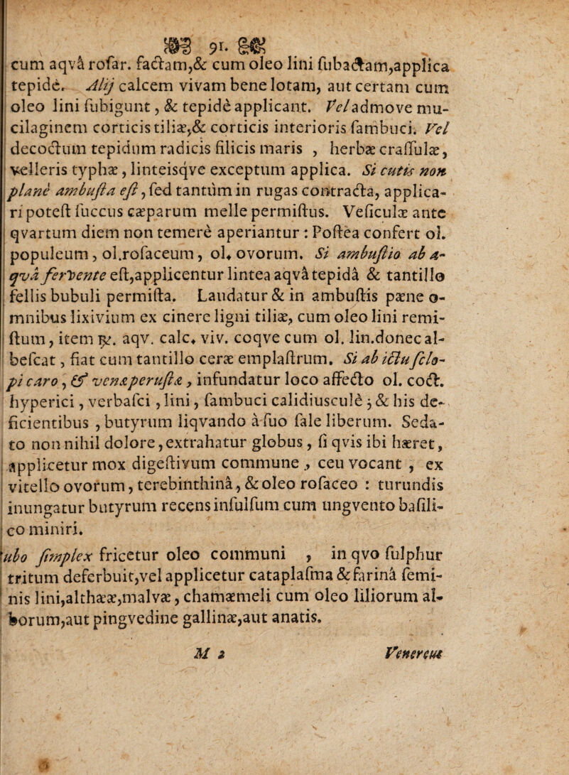 cum aqva rofar. faciam,& cum oleo lini fuba&am,applica tepide. Ahj calcem vivam bene lotam, aut certam cum oleo lini fubigunt, & tepide applicant. JWadmove mu- cilaginem corticis corticis interioris fambuci. Vel decoctum tepidum radicis filicis maris , herbae crafful^, velleris typhae, linteisqve exceptum applica. Si cutis non plane ambu/la e/i, fed tantum in rugas contradta, applica¬ ri poteft fuccus caeparum meile permiftus. Veficulae ante qvartum diem non temere aperiantur: Poftea confert oL populeum, ol.rofaceum, oL ovorum. Si ambu/lio ab a- qva j^r2?c/z/ceft,applicentur lintea aqv& tepida & tantillo fellis bubuli permifta. Laudatur & in ambuftis paene o- mnibus lixivium ex cinere ligni tiliae, cum oleo lini remi- jftum,item^. aqv. calc*viv. coqvecum ol. lin.donecal- befcat, fiat cum tantillo cerae emplaftrutn. Si ab iclu/elo¬ pi caro, (f ven&peruftA, infundatur loco affedto ol. codh hyperici, verbafei, lini, fambuci calidiuscul£ 3 & his de¬ ficientibus , butyrum liqvando a-fuo fale liberum. Seda¬ to nonnihil dolore,extrahatur globus, fi qvis ibi haeret, applicetur mox digeftivum commune ceu vocant , ex vitello ovorum, terebinthina, & oleo rofaceo : turundis inungatur butyrum recens infulfum cum ungventobafili- co miniri. \ulo /implex fricetur oleo communi , in qvo fulphur tritum deferbuit,vel applicetur cataplafma&farin^ femi- 1 nis lini,althaeae,malvae, chamaemeli cum oleo liliorum al¬ borum,aut pingvedine gallinae,aut anatis. M 2 Veneretu