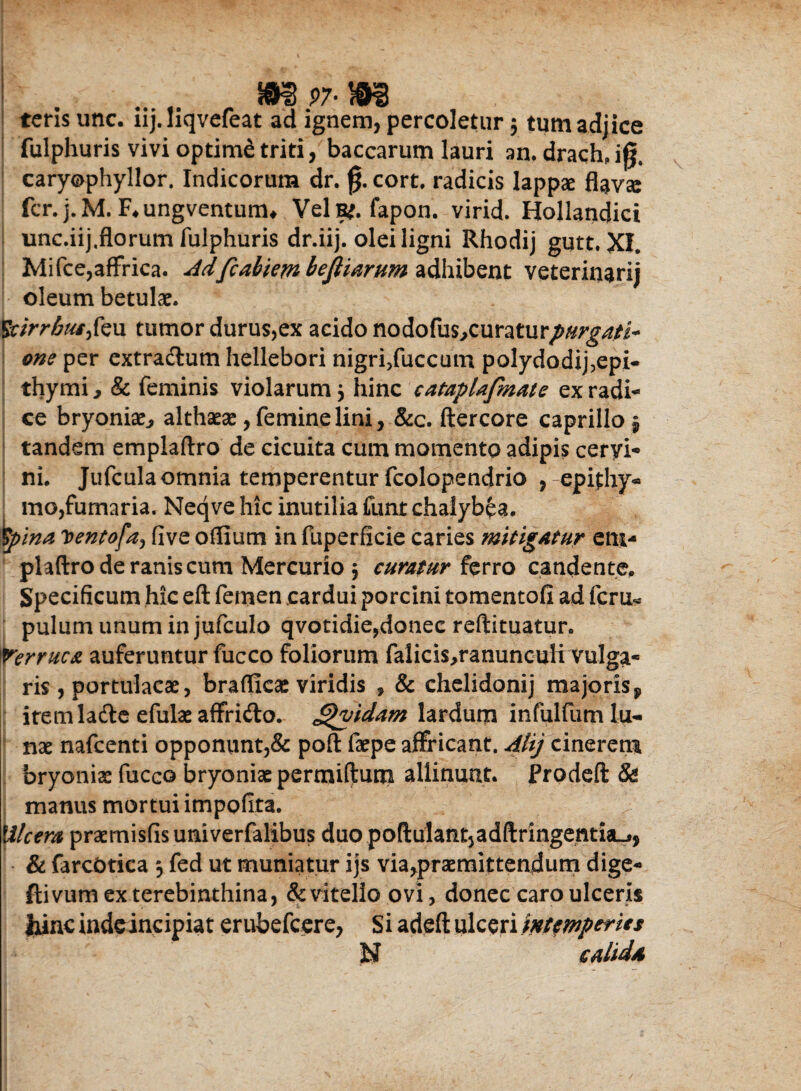 . m97-M teris une. iij. liqvefeat ad ignem, percoletur $ tum adjice fulphuris vivi optime triti, baccarum lauri an. drachjg. caryophyllor. Indicorum dr. jj. cort. radicis lappse flava: fer. j. M. F* ungventutm Veis*, fapon. virid. Hollandici unc.iij,florum fulphuris dr.iij. olei ligni Rhodij gutt. XI. Mifce,affrica. Adfcabiembefiiarum adhibent veterinarij oleum betulae. 'Scirrhusfcu tumor durus,ex acido nodofus^curatur^^/i- one per extractum hellebori nigri?fuccum polydodij,epi- thymi, & feminis violarum 3 hinc cataplafmate ex radi¬ ce bryoniae., althaeae, femine lini, &c. ftercore caprillo § tandem emplaftro de cicuita cum momento adipis ceryi- ni. Jufcula omnia temperentur fcolopendrio ,-epifhy* mo,fumaria. Neqve hic inutilia funt chalybea. kpina ytentofa, five offium in fuperflcie caries mitigatur eni- plaftro de ranis cum Mercurio $ curatur ferro candente. Specificum hic eft femen cardui porcini tomentofi ad fcru<* pulum unum in jufculo qvotidie,donec reftituatur. Verruca auferuntur fucco foliorum falicis^ranunculi vulga¬ ris , portulacae, braflicae viridis * & chelidonij majoris 9 itemladle efulae affrifto. £>yidam lardum i n fui fu m lu- nae nafcenti opponunt,& poft faepe affricant. Atij cinerem bryoniae fucco bryoniae permiftum allinunt. Frodeft & manus mortui impofita. Ulcera, praemisfisuniverfalibus duo poftulatitjadftringentia^, & farcOtica 3 fed ut muniatur ijs via,praemittendum dige- ftivum ex terebinthina, & vitello ovi, donec caro ulceris ixinc indeincipiat erubefeere, Si adefl: ulceri wttmperUs N calida