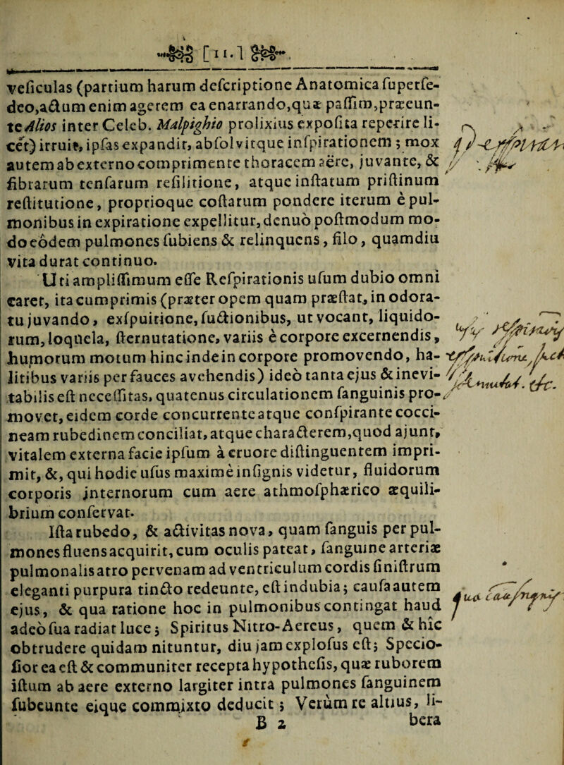 %*$ [II. 1 veficulas (partium harum defcriptione Anatomica fuperfe- deo,a&um enim agerem ea enarrando,qua pafllm5pr^eun- teAlios inter Celeb. Udfighio prolixius expofna reperire Ii- ^ ^ ^ cet)irruif, ipfasexpandir, abfolvitque infpirationem 5 mox j autemabexternocomprimente thoracem aere, juvante, & ,y fibrarum tenfarum refilitione, atque inflatum pridinum reditutione, proprioque codarum pondere iterum e pul¬ monibus in expiratione expellitur, denuo podmodum mo¬ do eodem pulmonesfubiens & relinquens, filo, quamdiu vita durat continuo. Utiampliffimum effe Refpirationis ufum dubio omni caret, ita cumprimis (pragter opem quam praedat,, in odora¬ tu juvando, exfpuirione, fu&ionibus, ut vocant, liquido- * . „ rum,loquela, demutatione, variis e corpore excernendis, 7V hupiorum motum hincindeincorpore promovendo, ha- 'Py/S^l/umt/fixA litibus variis per fauces avehendis) ideo tanta ejus &inevi- ^ tabilis ed necelfitas, quatenus circulationem fanguinis pro-^ movet, eidem corde concurrente atque confpirante cocci¬ neam rubedinem conciliat, atque chara£terem,quod ajunr, vitalem externa facie ipfum acruoredidinguentem impri¬ mit, &, qui hodie ufus maxime infignis videtur, fluidorum corporis jnternorum cum aere athmofpharico aequili¬ brium eonfervat. Ida rubedo, & a&ivitasnova, quamfanguis per pul¬ mones fluens acquirit, cum oculis pateat, fangumearteriae pulmonalisatro pervenam ad ventriculum cordis finidrum eleganti purpura tin£lo redeunte, edindubia; caufa autem ejus, & qua ratione hoc in pulmonibuscontmgat haud adeofuaradiat luce5 Spiritus Nitro-Aereus, quem & hic obtrudere quidam nituntur, diu jamexplofus ed; Spccio- fior ea ed & communiter recepta hy pothefis, quae ruborem idutn ab aere externo largiter intra pulmones fanguinem fubeunte eique commixto deducit; Verum re altius, li- B z bera /