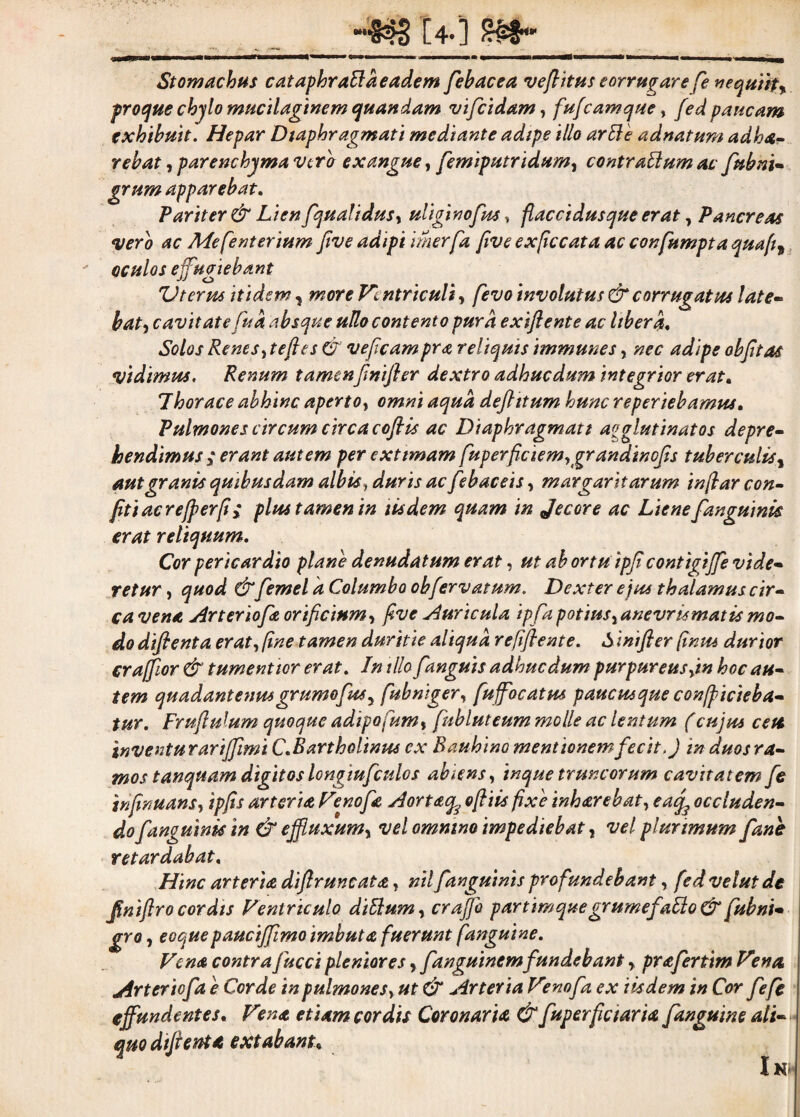m [4.] m* Stomachus cataphratlaeadem febacea vefiitus corrugarefe nequiit, frocjue chylo mucilaginem quandam vifcidam, fufcamque, fed paucam exhibuit. Hepar Diaphragmati mediante adipe illo arti e ad natum ad ha- rebat, parenchyma verb exangue, femiputridum, contrarium ac fubni¬ grum apparebat. Pariter & Lien fqualidus, uliginofus, flaccidusque erat , Pancreas vero ac Me fenterium five adipi imerfa five exficcataac confumptaquaffl, oculos effugiebant Vterus itidem, more Ventriculi, fevo involutus & corrugatus late¬ bat, cavitatefu a absque ullo contento pura exiftente ac libera. Solos Renes,te fies & veficam pra reliquis immunes, nec adipe obfitas vidimus. Renum tamenfinfier dextro adhuc dum integrior erat» Thorace abhinc aperto, omni aqua deflttum hunc reperiebamus. Pulmones circum circa coftis ac Diaphragmati agglutinatos depre¬ hendimus ; erant autem per extimam fuperficiem,grandincfis tuberculis, aut granis quibusdam albis1 duris ac febaceis, margaritarum inflarcon- fitiacre/per/iy plus tamen in iisdem quam in jecore ac Liene fanguinis erat reliquum. Cor pericardio plane denudatum erat, ut abortu ipfi contigiffle vide¬ retur , quod &femel a Columbo obfervatum. Dexter ejus thalamus cir¬ ca vena Art er iofa orificium, five Auricula ipfia potius, anevrismatis mo¬ do dfienta erat, fine tamen duritie aliqua refifiente. S inifler (inus durior cr afflor & tument tor erat. In tlh fanguis adhuc dum purpureus,in hoc au¬ tem quadantenusgrumofius, fubniger, fuffiocatm paucus que conficieba¬ tur. Frufiulum quoque adipofum, fubluteum molle ac lentum (cujus ceti inventurarififimi C.Bartholinus cx Bauhino mentionem fecit ,J in duos ra¬ mos' tanquam digitos longiufculos abiens, inque truncorum cavitatem fe infinuans, ipfis arteria Venofia Aortaq^ofiis fixe inharebat, eaefe occluden¬ do fi'ancuinis in & effluxum, vel omnino impediebat, vel plurimum fane retardabat. Hinc arteria dift runcat a, nil f anguinis profundebant, fedvelutde finiftrocordis Ventriculo ditium, crafflo partimquegrumefatlo& fubni- gro, eoquepaucifflimo imbuta fuerunt [anguine. Vena contra fucci pleniores, fdnguincmfundebant, prafertim Vena jirter iofa e Corde in pulmones, ut & fidrteria Vtnofa ex iisdem in Cor fefc effundentes. V?na etiam cordis Coronaria & fuperficiaria /anguine ali¬ quo difienta extabanu In