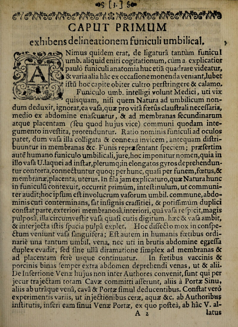 CAPUT PRIMUM exhibens delineationem funiculi umbilical. Nimus quidem erat, de ligatura tantum funicui umb. aliquid eniti cogitationum, cum a. explicatior ££% paulo funiculi anatomiahucetia quadrare videatur, & varia alia hac ex cccafione monenda veniant,lubet quisquam, nili quem Natura ad umbilicum non¬ dum deduxit, ignorat,ea vala,quae pro vita foetus clauftralineceffaria, medio ex abdomine enafcunrur, & ad membranas fecundinarum atque placentam ffeu quod hujus vice) communi quodam inte¬ gumento inveftita, protenduntur. Rario nominis funiculi ad oculos patet, dum vafa illa colligata 8c connexa invicem, antequam diftri- buuntur in membranas &c* Funis reprafcntant fpeciem; praefertim aute humano funiculo umbilicali, jure,hoc imponitur nomen,quia in illo vafa U.laquei ad inftar,p!erumq;in elongatas gyros deprehendun¬ tur contorta,conne£luntur quoq; per hunc, quali per funem/cetus, & membranae,placenta, uterus. In fila jam explica turo,quae Natura hunc in funiculu contexuit, occurrit primum, inteftinulum, ut communi¬ ter audit;hoc ipfiim eft involucrum vaforum umbil. commune, abdo¬ minis cuti conterminans, fatinhgnis craditiei, & pofidimum duplici conflat parte,exteriori membranosa,interiori, qua vafa r e fpicit,magis pulposa, illa circumveftit vala quali cutis digitum, haec & vafa ambit, & interjefta iliis fpacia pulpa explet. Hoc difle&o mox in conlpe- ftum veniunt vafa fanguifera; Eli autem in humanis fcetibus ordi¬ narie una tantum umbil. vena, nec uti in brutis abdomine egjefla duplex evadit, fed line ulla diramatione fimplex ad membranas 6c ad placentam fere usque continuatur. In foetibus vaccinis & porcinis binas femper extra abdomen deprehendi venas, ut & alii. De Infertione Venae hujus non inter Authores convenit, funt qui per jecur traje&am totam Cavae committi allerunt, aliis a Portae Sinu, aliis ab utraque vena, cava & Portae limul deducentibus. Conflat vero experimentis variis, ut inje£Hombus cerae, aquae &c. ab Authoribus inflitutis, inferi eam flnui Venae Portae, ex quo poftea, ab hac V. al- A z latus