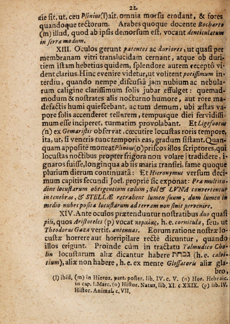 de fit, ut, ceu Pltnius(\)ut, orna ia motfu erodant, & fores quandoque teCiorum* Arabes quoque docente Bocbarto (m) illud, quod ab ipfis demorfum eft, vocant denticulatum in ferramodum, » XIII* Oculos gerunt patentes ac duriores % ut quafi per membranam vitri translucidam cernant, atque ob duri¬ tiem iftam hebetius quidem, fplendore autem-recepto vi¬ dent clarius.Hinc evenire videtur,ut volitentpotijfimum in* terdiu, quando nempe'difcufsa ja.m nubium ac nebula¬ rum caligine dariffimum folis jubar effulget: quemad¬ modum Scnoftrates alis noCharno humore, aut rore ma¬ defactis humi quiefeebant, ac tum demum, ubi aeftas va¬ pore folis accenderet tellarem, tempusque diei fervidifli* mum e fle inciperet, turmatim provolabant. EtLigtfootm (h) ex Gemariftts obftrvat * caecutire fopuffas roris tempore, ita, ut, fi veneris fune temporis eas, gradum fiftant.Quan- q u a m a p p o fi t em on e at P /^i^(o) p r i fc o s ili o s fcriptores,qui locuftas noftibus propter frigora non volare I tradidere, i- gnaros fuifle,longinqua ab iis maria tranfiri» fame quoque plurium dierum continuata: Et Hieronymus verfum deci¬ mum capitis fecundi Joei proprie fic exponat: Bra multitu• dine lo cuji arum obtegent tum coelum, SolQf LVNA convertemur in tenebras} & STEE L/E retrahent lumen fuum, dum lumen in medio nttbespofita locutarum ad terram non finit pervenire, XIV. Ante oculos praetenduntur noftratibus duo quafi pili, quos Ariftoteles (p) vocat %epcd&4, h. e. cornicula, feu, ut Theodorus Gaza vertit, antennas. Eorum ratione noftrae lo- cuftae horrere aut horripilare reCte dicuntur, quando* illos erigunt. Proinde cum in tra&atu Talmuduo Cko*' lin locuftamm aliae dicantur habere rUD3 (h. e. calvi* • tium), aliae non habere, h. e. ex mente GlojfatorU aliae gla- - bro, (1) ibid, (m) sn Hieroz. parf. poRer. lib, IV. c. V. (n) Hor. Hebraic. in cap. I.Marc.(o) Hiftor. Natur, lib,XI, c.XXIX. (p) iib.IV. Hiftor. Animal* ct VII, T * '