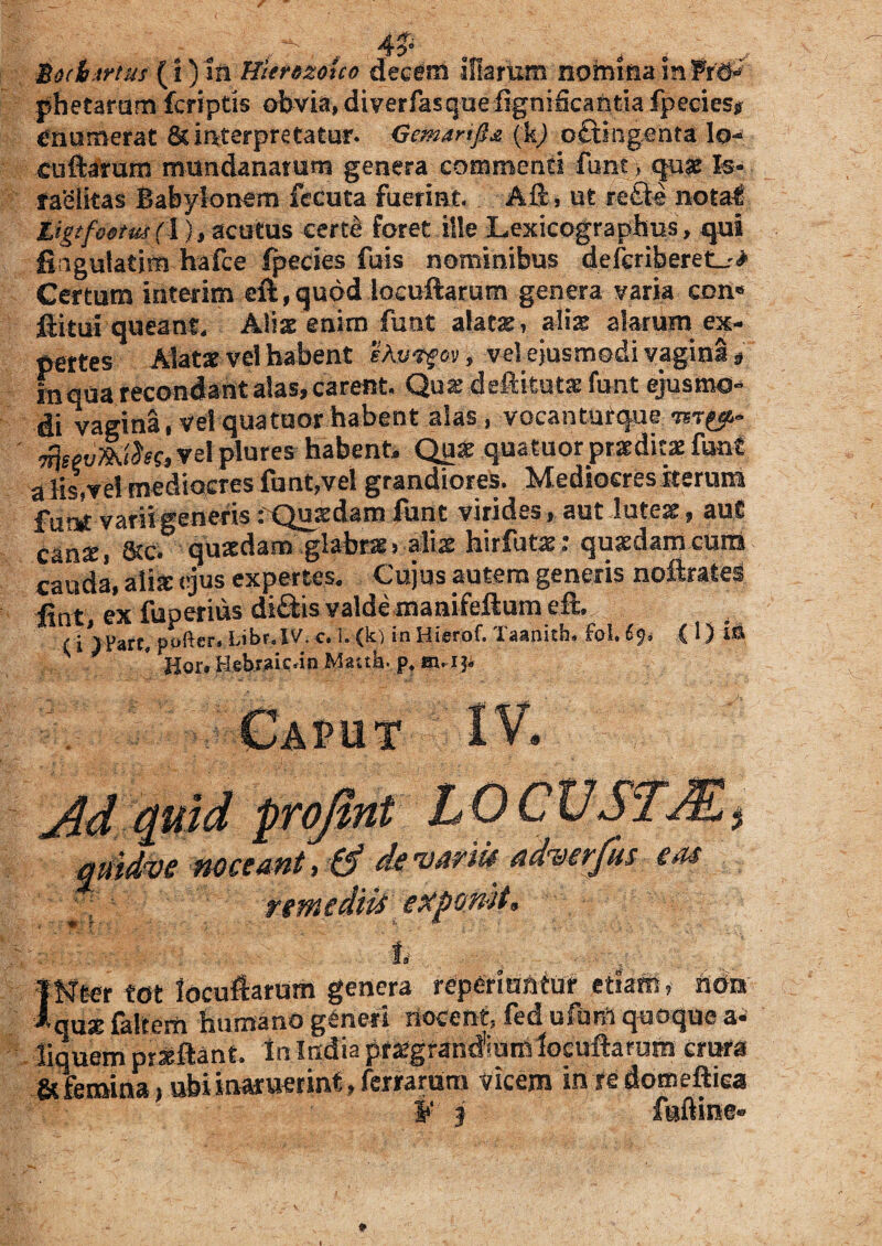 Borturtus (i)In Hiemzolco decem illarum nominainFrd- phetaram fcriptis obvia» diverfasqoefignificantiafpecies^ enumerat & interpretatur. Gemanfi* (k) octingenta lo- cuftamm mundanarum genera commenti fune, quae Is¬ tae i it as Babylonem fccuta fuerint. Aft, .ut rc£te notat Ligtfoetus(l h acutus certe foret ille Lexicographus, qui fiigulatim hafce fpecies fuis nominibus defcriberet_^ Cereum interim eft, quod locuftarum genera varia con« ftitw queant, Alis enim funt alats, alis alarum ex¬ pertes Alats vd habent eAv^ov , vel ejusmodi vagina #' in qua recondant alas, carent. Qus d eftkuts funt ejusmo¬ di vagina, vel quatuor habent alas, vocanturque wryfi* Trkv'itifou ve! plures habent, Qus quatuor prsdits funt dHs,vdmediocres funt,vel grandiores. Mediocres iterum fati variigencris rQusdam funt virides, aut lutes, aut cans, te. qusdam glabrs> alis hirfuts: qusdam cum cauda, alis ejus expertes. Cujus autem generis noftrates fint, ex fuperius di&is valde manifeftum eJb (iYpart, pofter. Libr.IV. c. I. (k) inHierof. Taanith. fol. 69» ( l) ' * Hor. Heb.wic.in Maub. pt avi*. HS €M I. - IMter tot locuftarum genera etiam , non Iquz fakem humano gtneri nocent, fed ufom quoque & liquem prsftant. In India p.rSgrandmrBlocuftarum cmra & femini? ubi inaruerint »ferrarum vicem in re domeftiea § I fuftine»