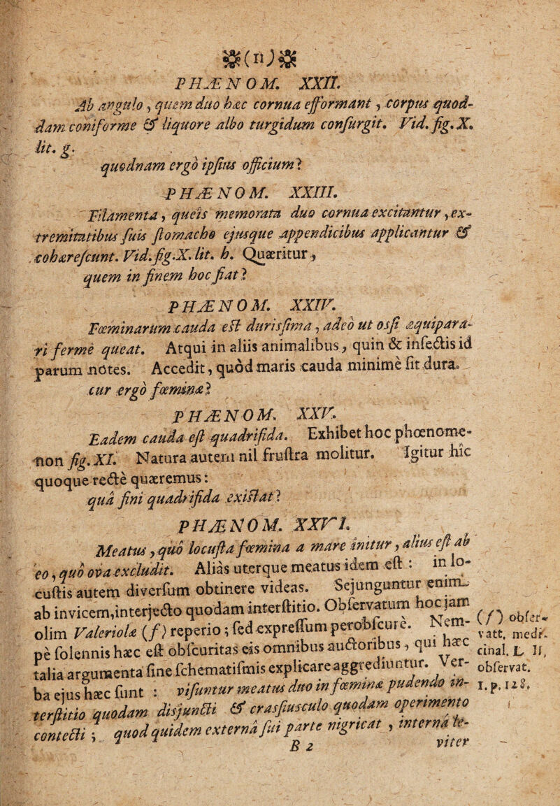 f ;U . P //,« N O M. XXII. Ab angulo , quem duo hac cornua effbrmant, corpus quod¬ dam coniforme A liquore albo turgidum confurgit. Vid.fig.X* Ut, g< quodnam ergo ipfius officium > p HAMO M. XXIII. Filamenta, queis memorata duo cornua excitantur ^ex¬ tremitatibus fuis fiomacho ejus que appendicibus applicantur e oh arefiunt. Vid.fig.X. Iit. h. Quaeritur ^ quem in finem hoc fiat ? PHJENOM. XXIV. Foeminarum .cauda e Ii duris fima, adeo ut os fi aquip ara¬ ri ferme queat. Atqui in aliis animalibus^ quin & infe&is id parum notes. Accedit, quod maris cauda minime Iit dura» cur ergo foernina jt PHxENOM. XXV, Eadem cauda efl quadrifida. Exhibet hoc p h ce nome- non fig. XI. Natura autem nil frtiftra molitur. Igitur hic quoque re&e quaeremus: qua fini quadrifida exili at ? PHJENOM, XXr t Meatui ,quo locufta feemina a mare initur, alius efl ab eo, quo ova excludit. Alias uterque meatus idem eft : in lo- cuftis autem diverfum obtinere videas. Sejunguntur emm_ ab invicem,interje<fto quodam interftitio. Obiervatum hoc jam olim ValerioU (/) reperio; fedexpreffumperobfcure. Nem pe folennis hsc eft obfcuritas eis omnibus auftoribus, qui h talia argumenta fine fchematilmis explkareaggtediuntur. V «- ba eius hac firnt : vifuntur meam duo in frmma pudendo m- uS%Zn disjLm & crasfimputo quodam operimento cotem f quod quidem externa fin parte mgneat , ts z (/) obfer* vatt, med^- cinal. JL H,. ob fervat. I.p. uJ* l'