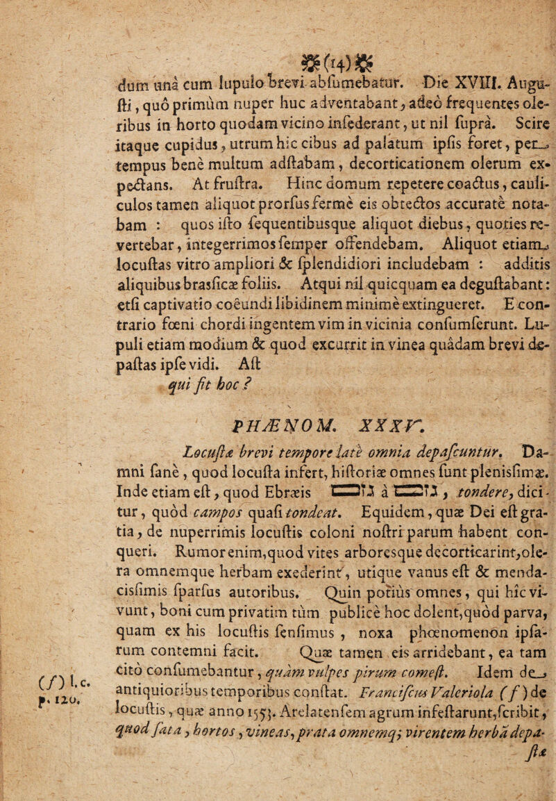 (/) u. 110, »(!+)» dum una cum lupulo brevi abfumebatur. Die XVIII. Augu- fti, quo primum nuper huc adventabant * adeo frequentes ole¬ ribus in horto quodam vicino infederant, ut nil fupra. Scire itaque cupidus* utrum hic cibus ad palatum ipfis foret, per_^ tempus bene multum adftabam, decorticationem olerum ex» pedans. At fruftra. Hinc domum repetere coa&us, cauli¬ culos tamen aliquot prorfusferme eis obtedos accurate nota¬ bam : quos ifto fequentibusque aliquot diebus, quoties re¬ vertebar , integerrimos femper offendebam. Aliquot etianu locuftas vitro ampliori &c Iplendidiori includebam : additis aliquibusbraslicae foliis. Atqui nil quicquam ea deguftabant: etli captivatio coeundi libidinem minime extinguerer. E con¬ trario foeni chordi ingentem vim in vicinia confumferunt. Lu- puli etiam modium & quod excurrit in vinea quadam brevi d&- paftas ipfe vidi. Ad qui fit hoc ? PHJENOM* XKXr. Locufia brevi tempore late omnia depaficuntur. Da¬ mni fane , quod locufta infert, hi Horiae omnes funt plenisftmae. Inde etiam eft, quod Ebraeis CDT ^ a C2T3 * tondere* dici - tur, quod campos quali tonde at. Equidem, quae Dei eft gra¬ tia * de nuperrimis locuftis coloni noftri parum habent con¬ queri. Rumor enim,quod vites arboresque dccorticarint*oie- ra omnemque herbam exederint', utique vanus eft & menda- cisfimis fparfus autoribus. Quin potius omnes, qui hic vi¬ vunt , boni cum privatim tum publice hoc dolent,quod parva, quam ex his locuftis fenfimus , noxa pboenomenon ipfa- rum contemni facit. Quae tamen eis arridebant, ea tam cito confumebantur, quam vulpes pirum comeft. Idem de_* antiquioribus temporibus conftat. Francifcus Valeriola (f) de locuftis, qua? anno 1553. Arelatenfem agrum infeftarunt,fcribit, quod fata y hortos, vineas, prata omnemqj virentem herba depa-