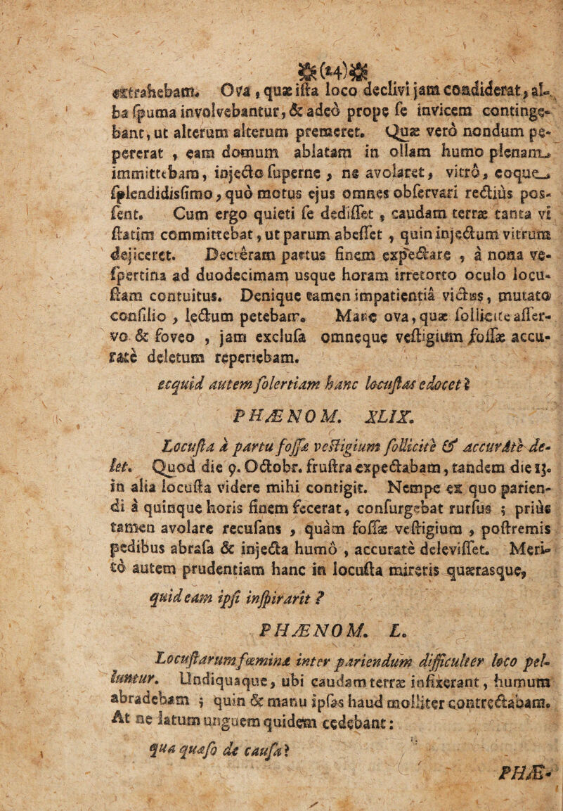 ^trahebant* OU, qux ifta loco declivi jam condiderat , aU, fcafpuma involvebantur, &adeo prope fe invicem continge- bant, ut alterum alterum premeret. Quas vero nondum pe* pererat , eam domum ablatam in ollam humo plenam^ immittebam, injeci©fuperne , ne avolaret, vitro, coque,* lpleadidisfimo,qudmotus ejus omnesobfervari redlius pos* fent. Cum ergo quieti fe dedifiet, caudam tetr^ tanta vi fbtjm cemmit?ebat,utparumabstet , quininjeduoivitrum dejiceret. Decreram partus finem expe^bre , a nona ve- fpertina ad duodecimam usque horam irretorto oculo loeu* fiam contuitus. Denique tamen impatientia victe, mutato confiiio , le&um petebatr. Ma^c ova,quae Ib 1 Ik11eafler- vo 8c foveo , jam exclula omneque vefligitim /ollae accu¬ rate deletum reperiebam. ecquid autem foleniatn hanc loeuftas edocet l PHJzNOM. JLIX. Locufla a partu foffa veBigium foEicke & accurdtbde- ht* Quod die 9. Odtobr. frufiraexpedabam, tandem die in alia locufia videre mihi contigit. Nempe ex quo parien- di a quinque horis finem fecerat, contegebat rurfus 5 prius tamen avolare recufans , quam fofiae vefiigium , pofiremis pedibus abrafa 8c injeda humo , accurate deievitet. Meri» td autem prudentiam hanc in locufta miretis quaeras que, quid eam ipfi inffirant i PHjENOM. Lo Loc ufidriimfmmindt inter par i en dum difficulter loco peU famur. Undiquaque, ubi caudam terras infixerant, humum abradebam 5 quin <Sc manu ipfas haud molliter contrectabam. At ne latum unguem quidem cedebant: qua qmfo de caufa ? vk PHM-