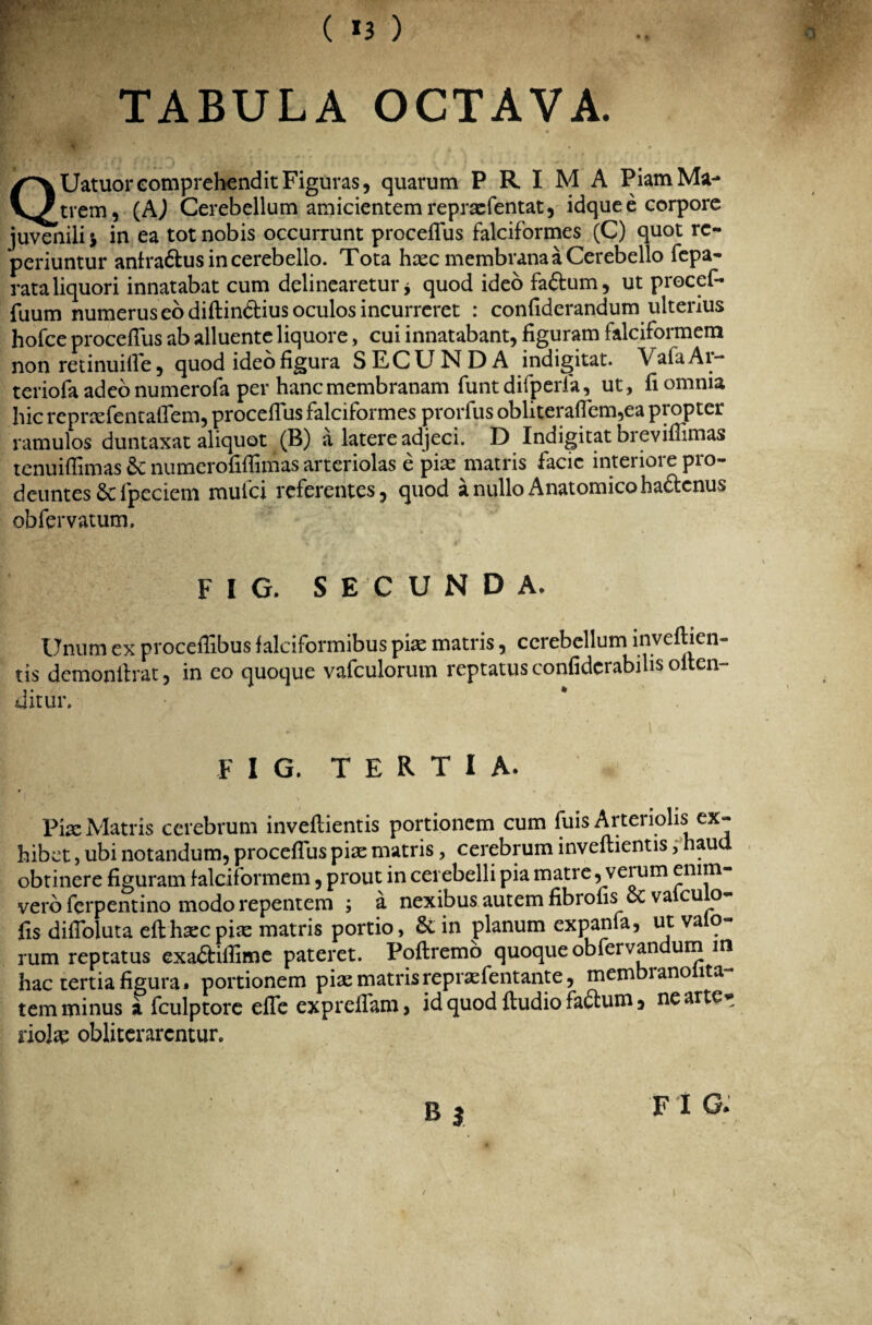 r-' TABULA OCTAVA. QUatuoreomprehendit Figuras, quarum PRIMA Piam Ma¬ trem, (A) Cerebellum amicientem repraefentat, idque e corpore juvenili j in ea tot nobis occurrunt proceflus falciformes (C) quot rc- periuntur anlra&us in cerebello. Tota hxc membrana a Cerebello fepa- rata liquori innatabat cum delinearetur, quod ideofa&um, ut procef- fuum numerus eo diftin&ius oculos incurreret : confiderandum ultenus hofce proceflus ab alluente liquore, cui innatabant, figuram falciformem non retinuifle, quod ideo figura SECUNDA indigitat. VafaAi- teriofa adeo numerofa per hanc membranam funt difperfa, ut, fi omnia hic repnefentaflem, proceflus falciformes prorfus obhteraflbm,ea propter ramulos duntaxat aliquot (B) a latere adjeci. D Indigitat bieviflimas tenuiflimas numerofiflimas arteriolas e pias matris facie interiore pro¬ deuntes fpeciem mulci referentes, quod a nullo Anatomico ha&cnus obfervatum, FIG. SECUNDA. Unum ex proceflibus falciformibus pix matris, cerebellum inveflien- tis demonflrat, in eo quoque vafculorum reptatus confiderabilis oiten- ditur. ■ * FIG. TERTIA. Pix Matris cerebrum inveflientis portionem cum fuis Arteriolis ex¬ hibet , ubi notandum, proceflus pix matris, cerebrum inveflientis, haud obtinere figuram falciformem, prout in cerebelli pia matre, vei um enim- vero ferpentino modo repentem ; a nexibus autem fibrofis & valculo- fis difloluta efthxcpix matris portio, & in planum expanfa, ut vaio- rum reptatus exadliflime pateret. Poftremo quoque obfervandum in hac tertia figura, portionem pix matris reprxfentante, membranoiita- tem minus a fculptore efle expreffam, id quod Audio factum, ne arte* liolx obliterarcntur. Bj F I G.