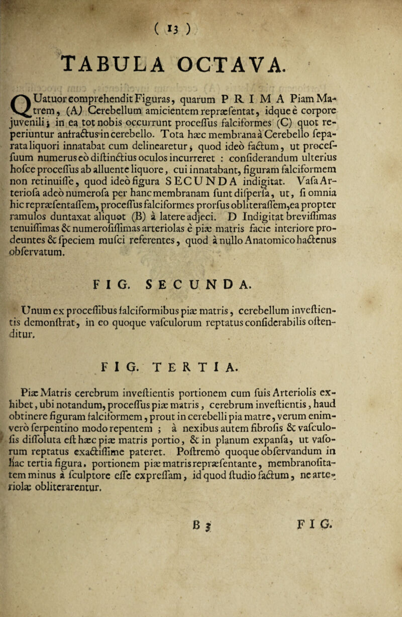 I ( *3 ) TABULA OCTAVA. | . ' 4 • / ' J » i i v* •' / & * .i’ i i ^ j i » > 4 ' > » QUatuor comprehendit Figuras, quarum PRIMA Piam Ma¬ trem, (AJ Cerebellum amicientem reprxfentat, idque e corpore juvenili \ in ea tot nobis occurrunt procefTus falciformes (C) quot re- periuntur anfradlusdn cerebello. Tota hxc membrana a Cerebello fepa- rataliquori innatabat cum delinearetur* quod ideo fadtum, ut procef- fuum numerus eo diflin&ius oculos incurreret : confiderandum ulterius hofce procefTus ab alluente liquore, cui innatabant, figuram falciformem non retinuifle, quod ideo figura SECUNDA indigitat. VafaAr- teriofa adeo numerofa per hanc membranam funt difperfa, ut, fi omnia hic reprxfentafTem, procefTus falciformes prorfus obliterafTem,ea propter ramulos duntaxat aliquot (B) a latere adjeci. D Indigitat breviflimas tenuiflimas Se numerofiflimas arteriolas e pise matris facie interiore pro¬ deuntes fpeciem mufei referentes, quod a nullo Anatomico ha£lenus obfervatum. F I G. SECUNDA. % •?$w ■ • Unum ex proceflibus falciformibus pise matris, cerebellum inveflien- tis demonflrat, in eo quoque vafculorum reptatus confidcrabilis oflen- ditur. . • F I G. TERTIA. ♦ / * Pix Matris cerebrum inveflientis portionem cum fuis Arteriolis ex¬ hibet , ubi notandum, procefTus pix matris, cerebrum inveflientis, haud obtinere figuram falciformem, prout in cerebelli pia matre, verum enim- vero ferpentino modo repentem ; a nexibus autem fibrofis & vafculo- fis difToluta cflhxcpix matris portio, 6c in planum expanfa, ut vafo- rum reptatus exadliflime pateret. Poflremo quoque obfervandum in hac tertia figura, portionem pix matrisreprxfentante, membranofita- tem minus a fculptore efTc exprefTam, id quod fludio facium, nearte* riolx oblitcrarcntur. B? / F I G.