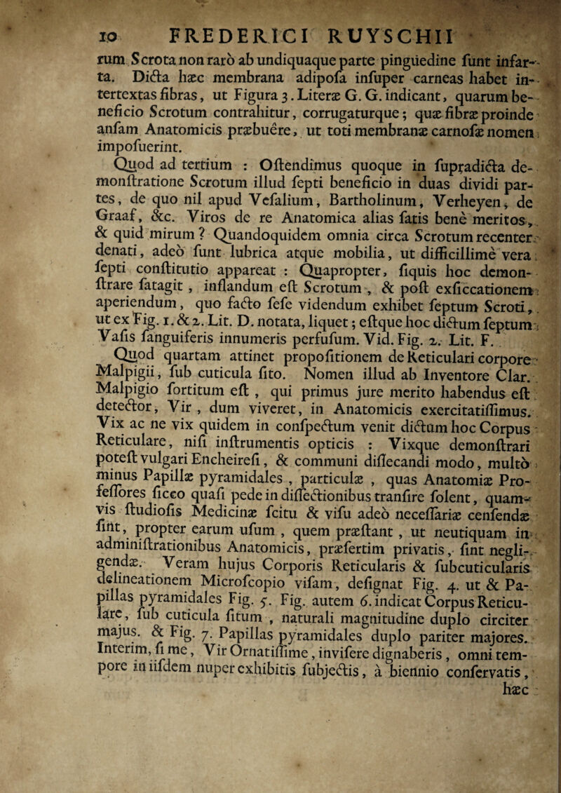 rum Scrota non raro ab undiquaque parte pinguedine funt infar^- ta. Dicfta haec membrana adipofa infuper carneas habet in- € tertextas fibras, ut Figura 3. Literae G. G. indicant, quarum be- neficio Scrotum contrahitur, corrugaturque; quae fibrae proinde anfam Anatomicis praebuere, ut toti membranae carnofae nomen 5 impofuerint. Quod ad tertium : Oftendimus quoque in fupradi&a de- monftratione Scrotum illud fepti beneficio in duas dividi par¬ tes, de quo nil apud Vcfalium, Bartholinum, Verheyen* de Graaf, &c. Viros de re Anatomica alias fatis bene meritos^ & quid mirum? Quandoquidem omnia circa S cro tum recenter denati, adeo funt lubrica atque mobilia, ut difficillime vera * fepti conftitutio appareat : Quapropter, fiquis hoc demon- lirare fatagit , inflandum eft Scrotum , Sc pofl exficcationem; aperiendum, quo fafto fefe videndum exhibet feptum Scroti, ut ex Fig. 1. & %. Lit. D. notata, liquet; eftque hoc dictum feptum : Vafis fanguiferis innumeris perfufum. Vid. Fig. x.- Lit. F. Quod quartam attinet propofitionem de Reticulari corpore Malpigii, fub cuticula fito. Nomen illud ab Inventore Clar. Malpigio fortitum eft , qui primus jure merito habendus eft detector. Vir, dum viveret, in Anatomicis exercitatiffimus. Vix ac ne vix quidem in confpeftum venit dictum hoc Corpus Reticulare, nifi inftrumentis opticis : Vixque demonftrari poteftvulgariEncheirefi, & communi diflecandi modo, multo > minus Papillas pyramidales , particulas , quas Anatomias Pro- feflores ficeo quafi pede in diffeftionibus tranfire folent, quairt^ vis ftudiofis Medicinae fcitu & vifu adeo neceflarix cenfends fint, propter earum ufum , quem praeftant , ut neutiquam in adminiftrationibus Anatomicis, praefertim privatis,- fint neglir, * gendae. Veram hujus Corporis Reticularis & fubcuticularis delineationem Microfcopio vifam, defignat Fig. 4. ut & Pa¬ pillas pyramidales Fig. Fig. autem 6. indicat Corpus Reticu- lare, fub cuticula fitum , naturali magnitudine duplo circiter majus. & Fig. 7. Papillas pyramidales duplo pariter majores. Interim, fi me, Vir OrnatifTime, invifere dignaberis, omni tem¬ pore in iifdem nuper exhibitis fubje£ti$, a biennio confervatis, haec :