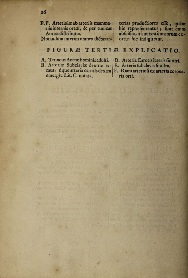 P,P. Arteriolae ab arteriis mamma riis internis ortx, Se per tunicas Aortxdiftributx. Notandum interim omnes di£tas ar¬ terias produ&iore3 effe, quam; Jiic reprxfentantur 5 funt enim abfeiflas, ita ut tantum eorum ex¬ ortus hic indigitetur. , FIGURiE TERTII EXPLICATIO. A. Truncus Aortxhominisadulti. B. Arterix Subclavix dextrae ra¬ mus» e quo arteria carotisdextra emergit. Lit.G notata. D. Arteria Carotis lateris fioiftrh E. Arteria fubclaviafiniftra. F. Rami arteriofi ex arteria corona¬ ria orti.