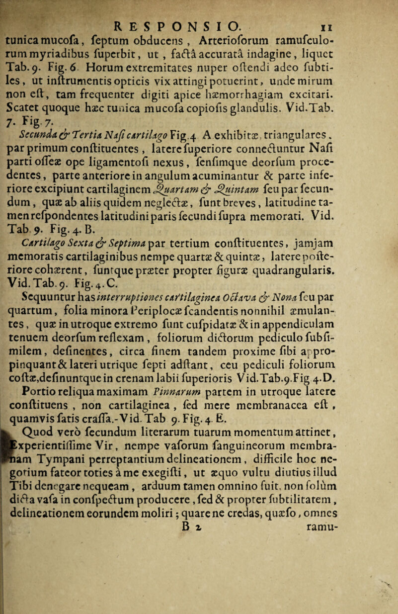 tunica mucofa, feptum obducens , Arterioforum ramufculo- rummyriadibus fuperbit, ut , faftaaccurata indagine, liquet Tab. 9. Fig. 6 Horum extremitates nuper oftetidi adeo fubti- les, ut inftrumentis opticis vix attingi potuerint, unde mirum non eft, tam frequenter digiti apice haemorrhagiam excitari. Scatet quoque haec tunica mucofa copiofis glandulis. Vid.Tab. 7- *7* Secunda & Tertia Nafi cartilago Fig.4 A exhibitae, triangulares „ par primum conftituentes , latere fuperiore conne&untur Nafi parti offieae ope ligamentofi nexus, fenfimque deorfiim proce¬ dentes, parte anteriore in angulum acuminantur & parte infe¬ riore excipiunt cartilaginem <3uartam & Quintam feu par fecun¬ dum, quae ab aliis quidem neglectae, funt breves, latitudine ta¬ men refpondentes latitudini paris fecundi fupra memorati. Vid. Tab 9. Fig. 4. B. Cartilago Sexta & Septima par tertium conftituentes, jamjam memoratis cartilaginibus nempe quartae & quintae, latere pofte- riore cohaerent, funtque praeter propter figurae quadrangularis. Vid. Tab. 9. Fig. 4.C. Sequuntur has interruptiones cartilaginea Octava & Nona feu par quartum, folia minora Periplocaefcandentisnonnihil aemulan¬ tes, quae in utroque extremo funt cufpidatae& in appendiculam tenuem deorfum reflexam , foliorum diftorum pediculo fubfi- milem, delinentes, circa finem tandem proxime fibi at pro¬ pinquant & lateri utrique fepti adftant, ceu pediculi foliorum coftac,definuntquein crenam labii fuperioris Vid.Tab.9.Fig 4.D. Portio reliqua maximam Pinnarum partem in utroque latere conftituens , non cartilaginea , fed mere membranacea eft , quamvis fatis crafTa.-Vid. Tab 9. Fig. 4. E. Quod vero fecundum literarum tuarum momentum attinet, ftxperientiffime Vir, nempe vaforum fanguineorum membra- fmam Tympani perreptantium delineationem, difficile hoc ne¬ gotium fateor toties a me exegifti, ut aequo vultu diutius illud Tibi denrgare nequeam , arduum tamen omnino fuit, non folum difta vafa in confpecftum producere, fed & propter fubtilitarem, delineationem eorundem moliri; quare ne credas, quaefo, omnes B z ramu-