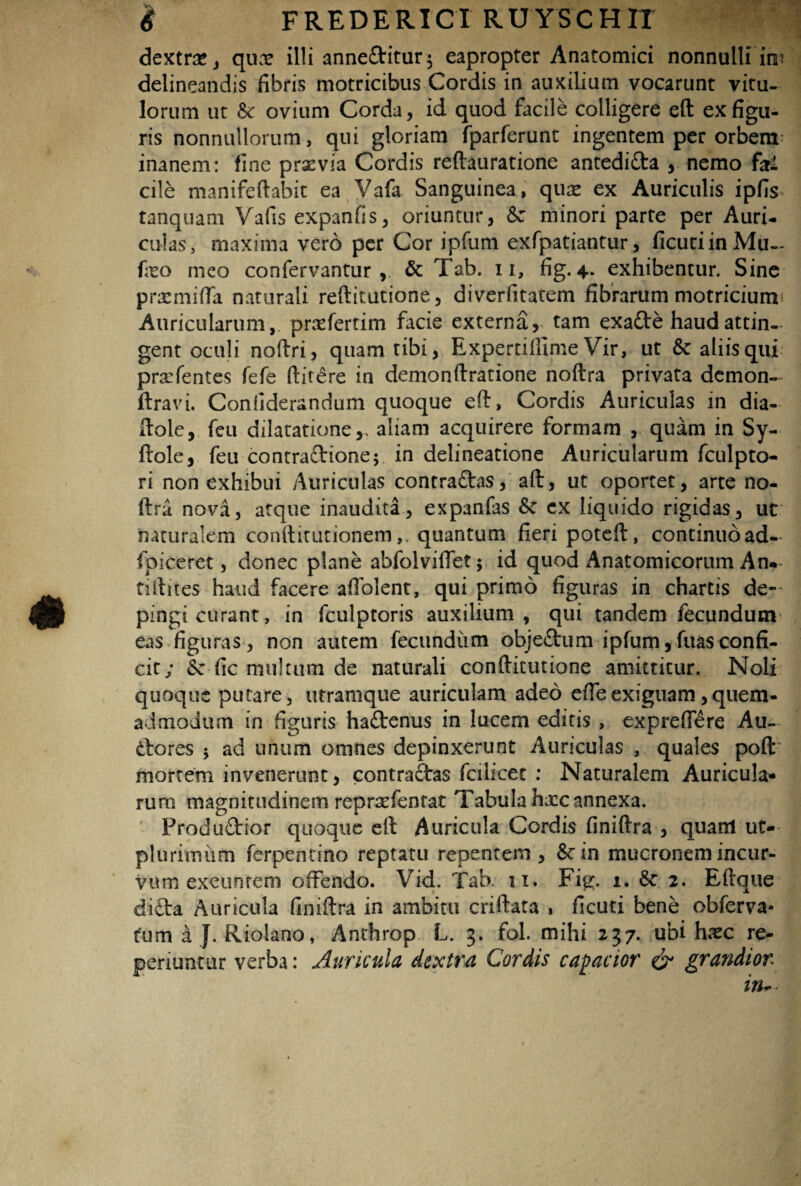 dextra*, quae illi anneftitur$ eapropter Anatomici nonnulli ini delineandis fibris motricibus Cordis in auxilium vocarunt vitu¬ lorum ut & ovium Corda, id quod facile colligere eft ex figu¬ ris nonnullorum, qui gloriam fparferunt ingentem per orbem inanem: fine prxvia Cordis reftauratione antedi&a , nemo fcri cile manifeftabit ea Vafa Sanguinea, qua* ex Auriculis ipfis tanquam Vafis expanfis, oriuntur, &z minori parte per Auri¬ culas, maxima vero per Cor ipfum exfpatiantur, ficuciinMiu- fieo meo confervantur & Tab. 11, fig. 4. exhibentur. Sine prxmifla naturali reftitutione, diverfitatem fibrarum motriciumi Auricularum, prxfertim facie externa,, tam exade haud attin¬ gent oculi noftri, quam tibi, Expertiflime Yir, ut & aliis qui pradentes fefe ftitere in demonftratione noftra privata demon- ftravi. Conflderandum quoque efl:, Cordis Auriculas in dia- ftole, feu dilatatione,. aliam acquirere formam , quam in Sy- ftole, feu contra&ione; in delineatione Auricularum fculpto- ri non exhibui Auriculas contradas, aft, ut oportet, arte no¬ ftra nova, atque inaudita, expanfas & ex liquido rigidas, ut naturalem conftitutionemquantum fieri poteft, continuo ad- fpiceret, donec plane abfolvifletj id quod Anatomicorum An* hftites haud facere afiblent, qui primo figuras in chartis de¬ pingi curant, in fculptoris auxilium , qui tandem fecundum eas figuras, non autem fecundum objedum ipfum,fuasconfi¬ cit; &c fic multum de naturali conftitutione amittitur. Noli quoque putare, utramque auriculam adeo efleexiguam,quem¬ admodum in figuris hadenus in lucem editis , expreftere Au- dores 5 ad unum omnes depinxerunt Auriculas , quales poft mortem invenerunt, contractas fcilicet : Naturalem Auricula¬ rum magnitudinem repradentat Tabula hazc annexa. Produdior quoque eft Auricula Cordis finiftra , quam ut- plurimiifn ferpentino reptatu repentem , &:in mucronem incur¬ vum exeuntem offendo. Vid. Tab. 11. Fig. r. 6c 2. Eftque ditta Auricula fimftra in ambitu criftata , ficuti bene obferva* tum a J. Riolano, Anthrop L. 3. fol. mihi 237. ubi hxc re¬ ponuntur verba: Auricula dextra Cordis capacior & grandior