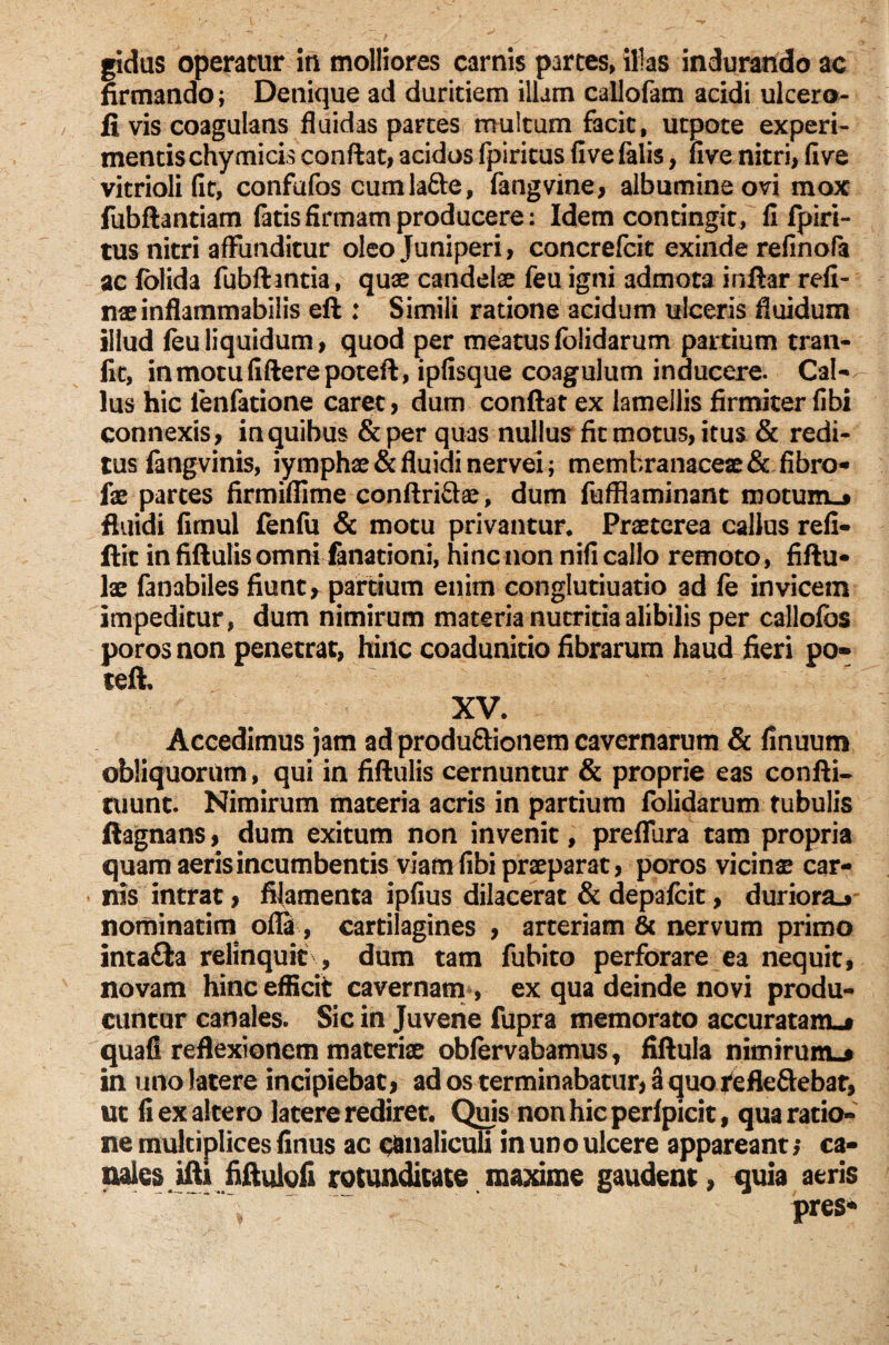 firmando; Denique ad duritiem illam callofam acidi ulcero- fi vis coagulans fluidas parces multum facit, utpote experi¬ mentis chy micis conflat, acidos fpiritus fi ve falis, five nitri, fi ve vitrioli fit, confufos cumla&e, fangvine, albumine ovi mox fubflantiam fatis firmam producere: Idem contingit, fi fpiri¬ tus nitri affunditur oleo Juniperi, concrefcit exinde refinofa ac folida fubilantia, quae candelae feu igni admota inflar refi- naeinflammabilis eft : Simili ratione acidum ulceris fluidum illud feu liquidum, quod per meatusfblidarum partium tran- fic, inmotufifterepoteft, ipfisque coagulum inducere. Cal- lus hic ienfatione caret, dum conflat ex lamellis firmiter fibi connexis, in quibus &per quas nullus fit motus, itus & redi¬ tus fangvinis, iymphae&fluidi nervei; membranaceae & fibro- fae partes firmiflime conflriSae, dum fufflaminant motum-* fluidi fimul fenfu & motu privantur. Praeterea callus refi- flit infiflulisomni fanationi, hinc non nifi callo remoto, fiflu- lae fanabiles fiunt, partium enim conglutiuatio ad fe invicem impeditur, dum nimirum materia nutritia alibilis per callofbs poros non penetrat, hinc coadunitio fibrarum haud fieri po- teft. XV. Accedimus jam ad produ&ionem cavernarum & finuum obliquorum, qui in fiflulis cernuntur & proprie eas confli- tuunt. Nimirum materia acris in partium folidarum tubulis fiagnans, dum exitum non invenit, preffura tam propria quam aeris incumbentis viam fibi praeparat, poros vicinae car¬ nis intrat, filamenta ipfius dilacerat & depafcit, duriora.* nominarim ofla, cartilagines , arteriam & nervum primo inta£la relinquit , dum tam fubito perforare ea nequit, novam hinc efficit cavernam , ex qua deinde novi produ¬ cuntur canales. Sic in Juvene fupra memorato accurataitu* quafl reflexionem materiae obfervabamus, fiftuia nimiruno in uno latere incipiebat, ad os terminabatur, a quo refleftebat, ut fi ex altero latere rediret. Quis nonhicperfpicit, qua ratio¬ ne multiplices finus ac q&naliculi in uno ulcere appareant j ca¬ nales illi fiftulofi rotunditate maxime gaudent, quia aeris pres*