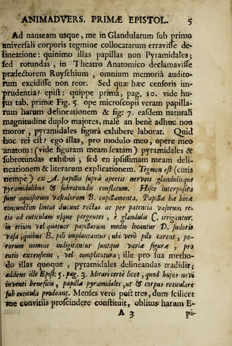 Ad nauseam usque, me in Glandularum fub primo tmiverfali corporis tegmine collocatarum erravme de¬ lineatione : quinimo illas papillas non Pyramidales; fed rotundas , in Theatro Anatomico declamaviffe praelectorem Ruyfehium , omnium memoria audito¬ rum excidiffe non reor. Sed qus haec cenforis im¬ prudentia? epift: quippe primi, pag. 10. vide hu¬ jus tab. primae Fig. 5- ope microfcopii veram papilla¬ rum haram delineationem & fig: 7. eafdem naturali magnitudine duplo majores, male an bene adhuc non moror , pyramidales figura exhibere laborat. Quid hoc rei eft? ego illas, pro modulo meo, opere meo anatom: (vide figuram meamfextam) pyramidales 8t Tubrotundas exhibui ; fed en ipfiffimam meam deli¬ neationem & literarum explicationem. Tegmen ejl (cutis nempe ) ex ^4. papillis fu [na apertis tterVeis glandulis que pyramidalibus (S fubrotundts conflatum. Hifce interpoflra funt aquojormn Tafculorum 8. capillamenta, TapiSte hee bm& tonjunftim lineas ducunt reclas ac per patentia Cajorum re¬ tia ad cuticulam ufque pergentes , e glandulis £. irrigantur, in trium Tei qua tuor papillarum medio locantur D. judoris Vafa,quibus E., pili tmplantantur; ubi Tero pilo carent, po- rorum nomine mdigitantur funtque Tan<e figura , pro cutis extenflone , Tei complicatura; ille pro fua metho¬ do illas quoque , pyramidales delineandas tradidit; addens ille Epifl’. j./wg. 5. Mirari certe licet, quod hujus noTi inTenti beneficio , papilla pyramulales ,«f QT corpus reticulare fub cuticula prodeant. Menfes vero poft tres, dum fetlicer «ac eonvitiis profeindere conftituit, oblitus: haram E-