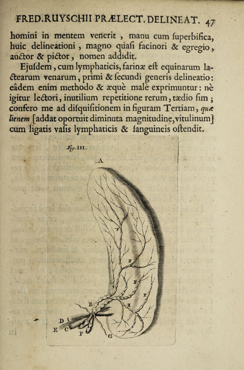 homini in mentem venerit , manu cum fuperbifica, huic delineationi, magno quafi facinori & egregio, audor Sc pidor, nomen addidit. Ejufdem, cum lymphaticis, farinae eft equinarum la- dearum venarum, primi & fecundi generis delineatio: eadem enim methodo & aeque male exprimuntur: ne igitur ledori, inutilium repetitione rerum, taedio fim ; confero me ad dilquifitionem in figuram Tertiam, qux lienem [addat oportuit diminuta magnitudine,vitulinum] cum ligatis vafis lymphaticis & ianguineis oftendit. -^,111, A.