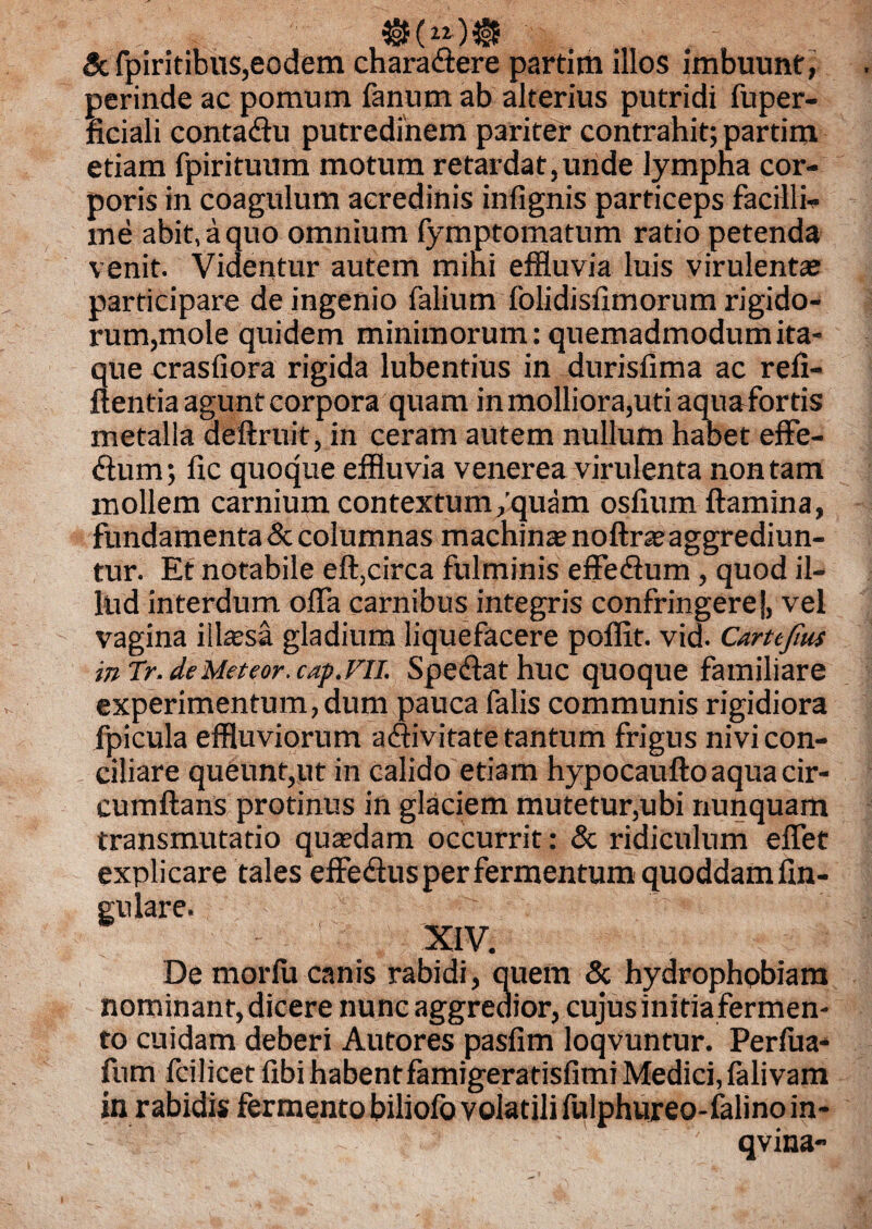 8c fpiritibus, eodem chara «Sere partim illos imbuunt, perinde ac pomum fanum ab alterius putridi fuper- ficiali conta&u putredinem pariter contrahit; partim etiam fpirituum motum retardat,unde lympha cor¬ poris in coagulum acredinis infignis particeps facilli¬ me abit, a quo omnium fymptomatum ratio petenda venit. Videntur autem mini effluvia luis virulentas participare de ingenio falium folidisflmorum rigido¬ rum,mole quidem minimorum: quemadmodum ita¬ que crasAora rigida lubentius in durisfima ac reA- ftentia agunt corpora quam in molliora,uti aquafortis metalla deftruit, in ceram autem nullum habet effe- dum; Ac quoque effluvia venerea virulenta non tam mollem carnium contextum/quam osfium flamina, fundamenta & columnas machina; noftrae aggrediun¬ tur. Et notabile eft,circa fulminis effedum , quod il¬ lud interdum ofla carnibus integris confringere!, vel vagina iihesa gladium liquefacere poffit. vid. Carttjius in Tr. deMeteor. cap.VIl. Speflat huc quoque familiare experimentum,dum pauca falis communis rigidiora fpicula effluviorum a<flivitate tantum frigus nivi con¬ ciliare queunt,ut in calido etiam hypocaufto aqua cir¬ cumflans protinus in glaciem mutetur,ubi nunquam transmutatio qua?dam occurrit: & ridiculum eflet explicare tales effe<flus per fermentum quoddam An¬ gulare. XIV. De morfu canis rabidi, quem & hydrophobiam nominant, dicere nunc aggredior, cujus initia fermen¬ to cuidam deberi Autores pasAm loqvuntur. Perfua* fum fcilicet Abi habentfamigeratisAmi Medici, falivam in rabidis fermento biliofo volatili fulphureo-falino in- qvina-