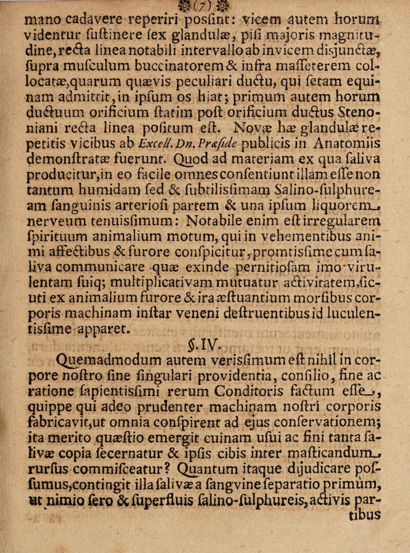 mano cadavere reperiri posfint: vicem autem horum videntur fisftinere iex glandula?, pifi majoris magnitu¬ dine, redta linea notabili intervallo ab invicem disjundla?, fupra mufculum buccinatorem & infra maffeterem col¬ locata?,quarum qutevis peculiari dudlu, qui fetam equi¬ nam admittit,in ipfum os hiat; primum autem horum du&uum orificium ftatim poft orificium ducftus Steno- niani refla linea pofitum eft. Novae ha? glandula? re¬ petitis vicibus ab Exceli.Dn.Pr&ftde publicis in Anatomiis demonftrata? fuerunt. Quod ad materiam ex qua faliva producitur,in eo facile omnes confentiunt illam effe non tantum humidam fed & fubtilisfimam Salino-fulphure- ara fanguinis arteriofi partem & una ipfum liquorem-, nerveum tenuisfimum: Notabile enim eft irregularem fpirituum animalium motum, qui in vehementibus ani¬ mi affeflibus & furore confpicitur,promtis(lme cum fa¬ liva communicare quae exinde pernitiofam imo'viru¬ lentam fuiq; multiplicativam mutuatur afliviratemdlc- uti ex animalium furore & ira a?ftuantium morfibus cor¬ poris machinam inftar veneni deftruentibusid luculen- tisfime apparet, §.1V... Quemadmodum autem verisfimum eft nihil in cor¬ pore noftro fine fingulari providentia, confilio, fine ac- ratione fapientisfimi rerum Conditoris faflum quippe qui adeo prudenter machinam noftri corporis fabricavit,ut omnia confpirent ad ejus confervationem; ita merito qua?ftio emergit cuinam ufui ac fini tanta fa¬ liva? copia fecernatur & ipfis cibis inter mafticandum_, rurfus commifceatur? Quantum itaque dijudicare pof» fumus,contingit illafaliva?a fangvinefeparatio primum, ttt nimio iero & fuperfluis falino-fulphureis, aflivis par¬ tibus