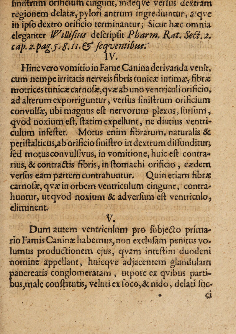 nnritmm orihcium cingunt, indeq ve verius dextram regionem delata?, pylori antrum ingrediuntur , attjve in iplbdextro orificio terminantur; Sicut haec omnia, eleganter WiUifms defcripfit Pharm. Raf. Se61, a, cap. 2. pagj. 8. //. & feq^ventiBm.' IV, Hinc vero vomitio in Fame Canina derivanda venit, cum nempe irritatis nerveisfibris funic* intima?, fibrae motrices tunicae carnofie,qva?abund ventriculi orificio, ad alterum exporriguntur, verius finiftrum orificium convulfie, ubi magnus eft nervorum plexus, furfurrt, qvod noxium eft, ftatim expellunt, ne diutius ventri¬ culum infeftet. Motus enim fibrarum, naturalis & periftalticus,aborificio finiftro in dextrum diffunditur^ fed motuseonvulfivus, in vomitione, huic eft contra¬ rius, & contractis fibris,inftomachi orificio, easdem verius eam partem contrahuntur. Quin etiam fibras carnoiae, qvae in orbem ventriculum cingunt, contra¬ huntur, utqvod noxium Si adverfiim eft ventriculo, eliminent, V, Dum autem ventriculum pro fubjcieo prima¬ rio FamisCaninae habemus, non exclulam penitus vo¬ lumus productionem ejus, qvam inteftini duodeni nomine appellant, huieqve adjacentem glandulam pancreatis conglomeratam , utpote ex qvibus parti*. bus,male conftitutis, velutiexfoco,&nkjo, delati fac- <9 - ■ ' ’V: • a *•*. -